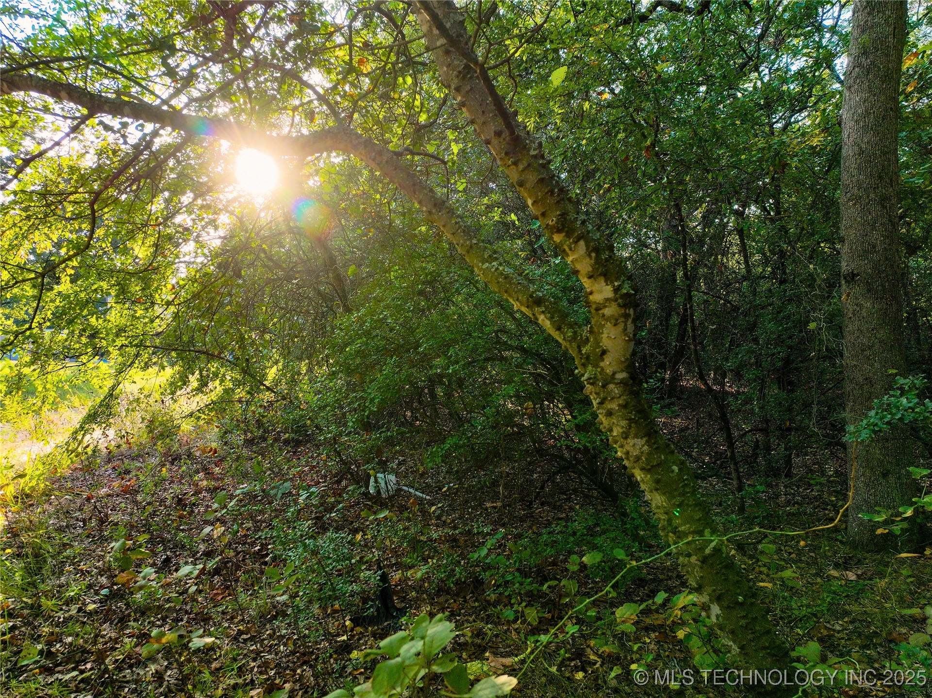 0 Pecan Road Property Photo 5