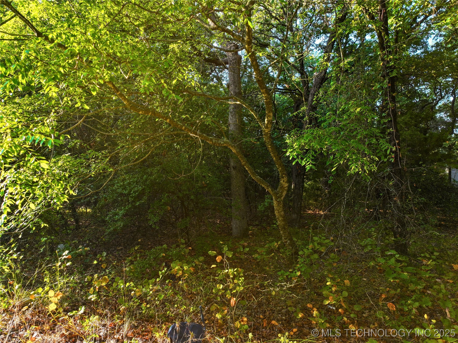 0 Pecan Road Property Photo 8