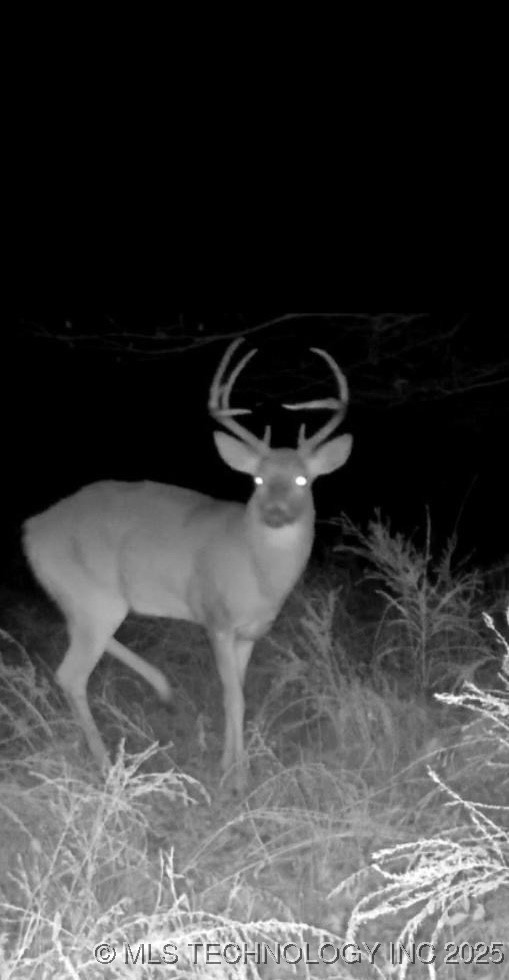 6475 4210 Road Property Photo 89