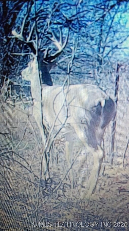 6475 4210 Road Property Photo 90