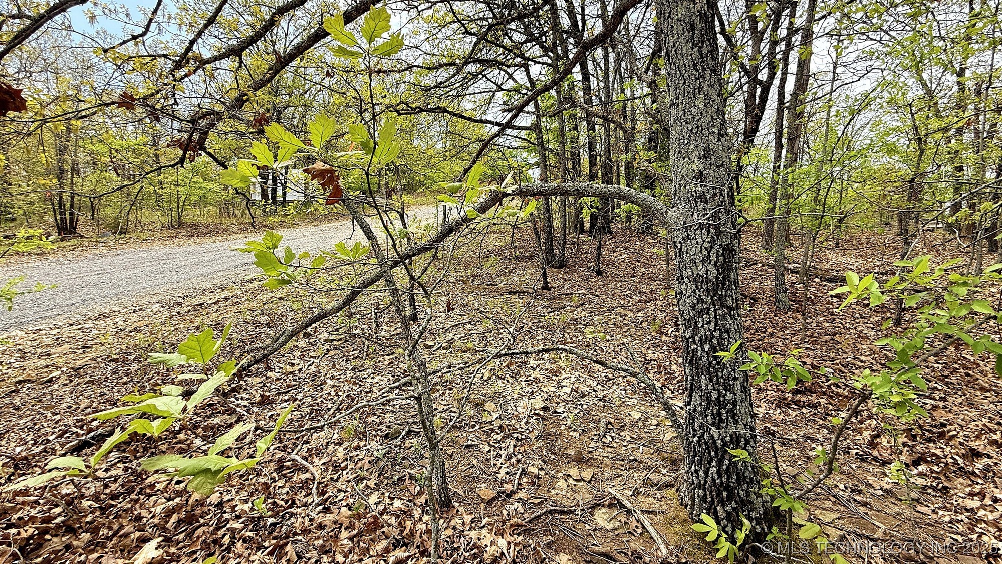 15208 Overland Drive Property Photo 2