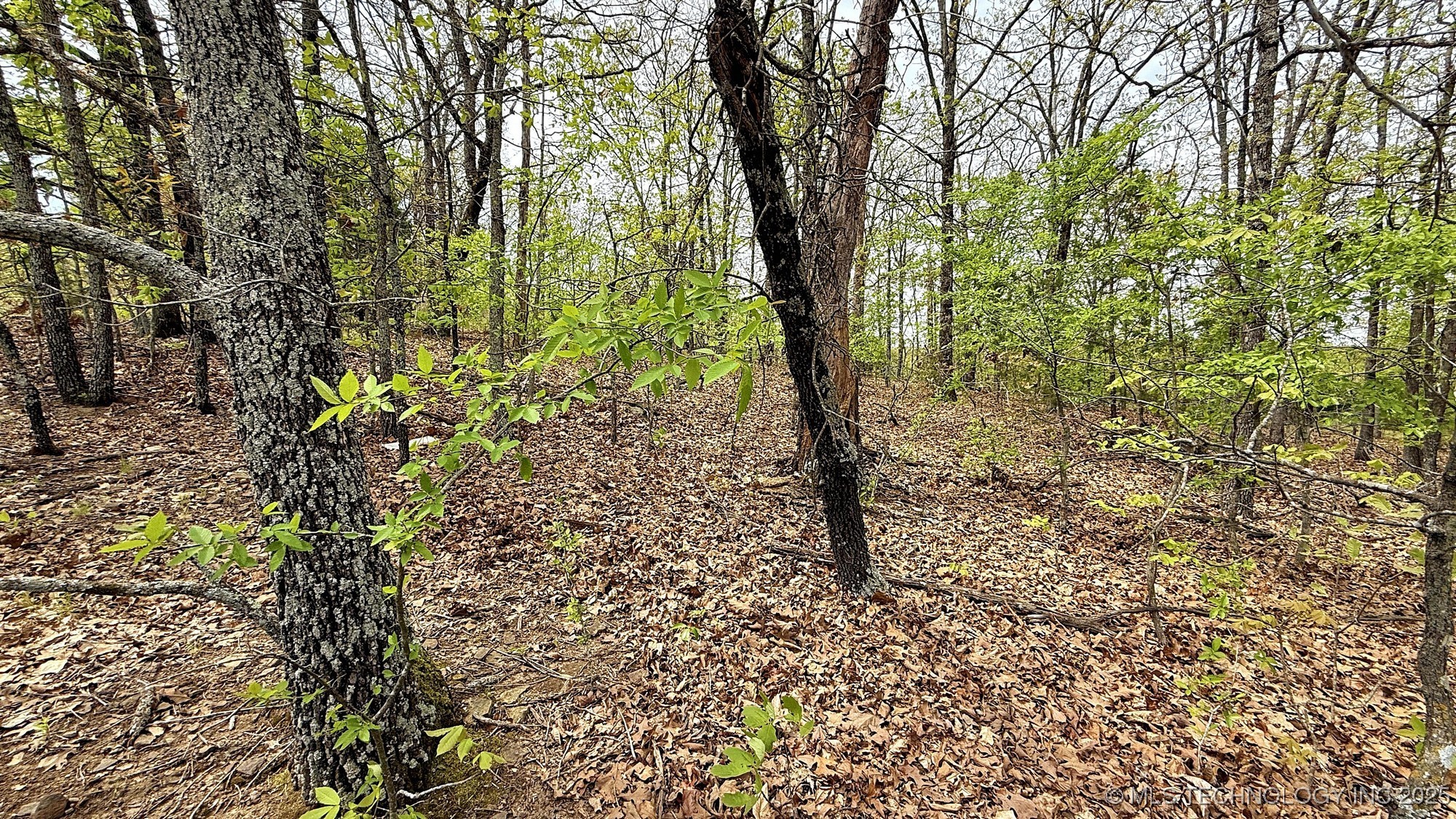 15208 Overland Drive Property Photo 3