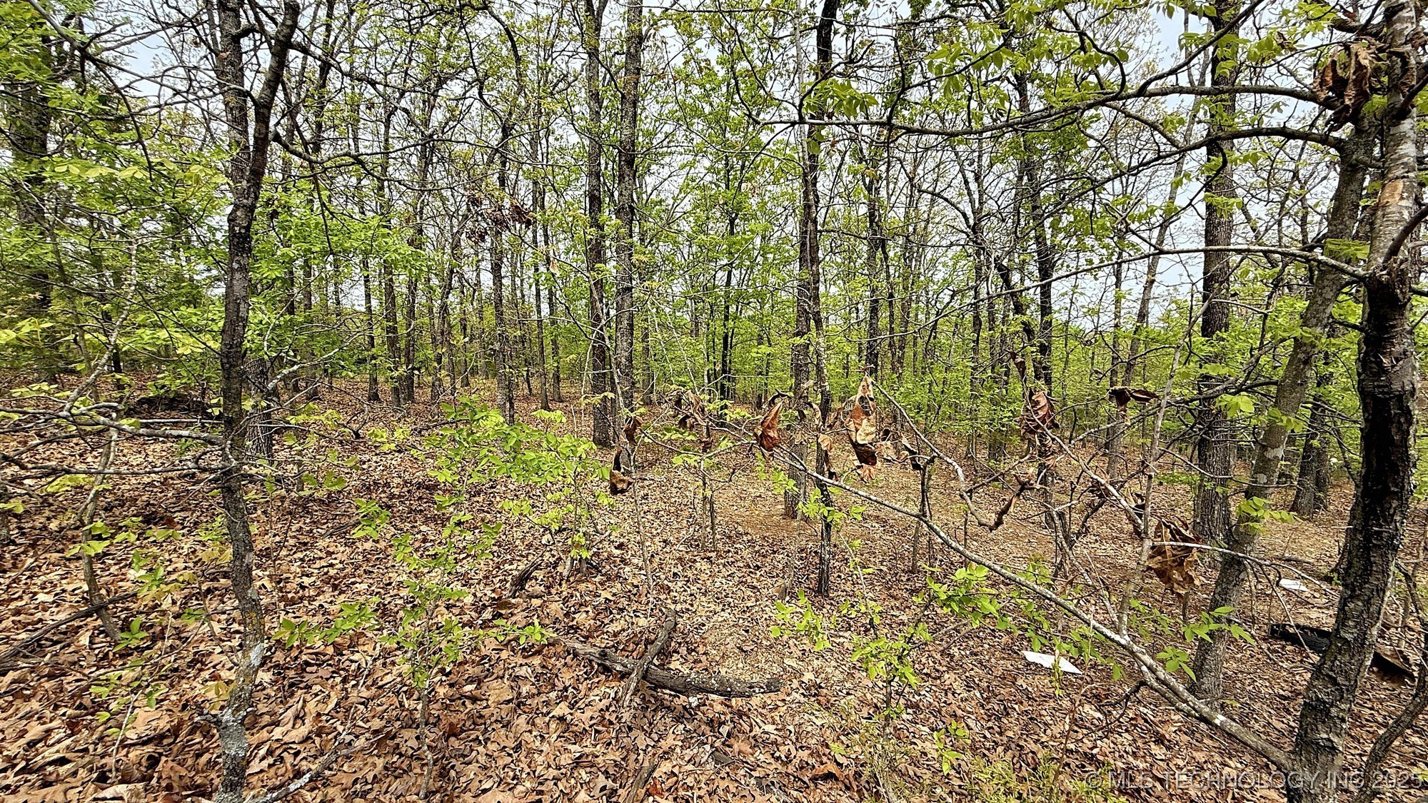 15208 Overland Drive Property Photo 4