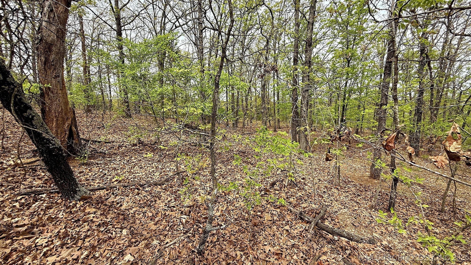 15208 Overland Drive Property Photo 5