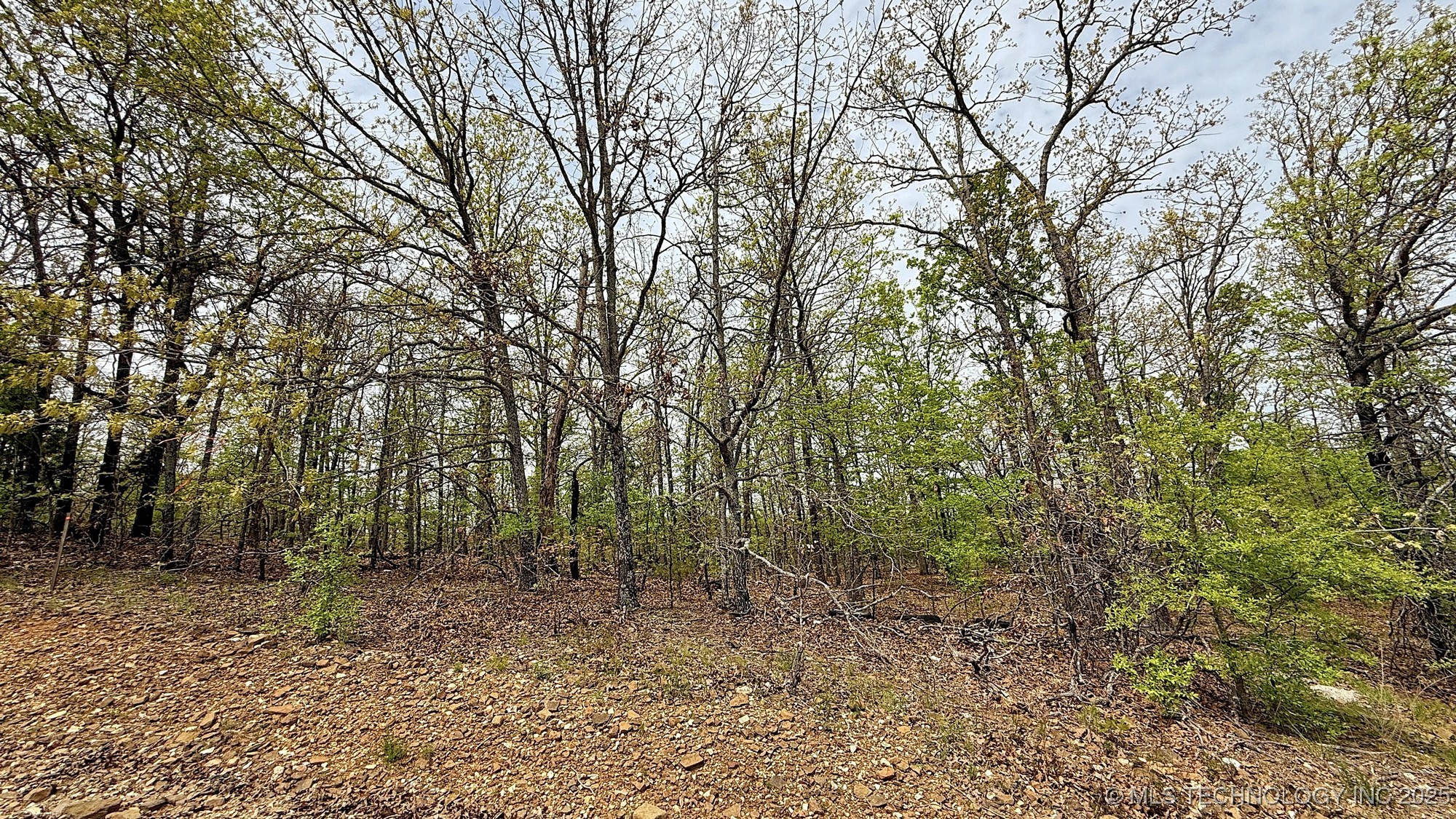 15208 Overland Drive Property Photo 6