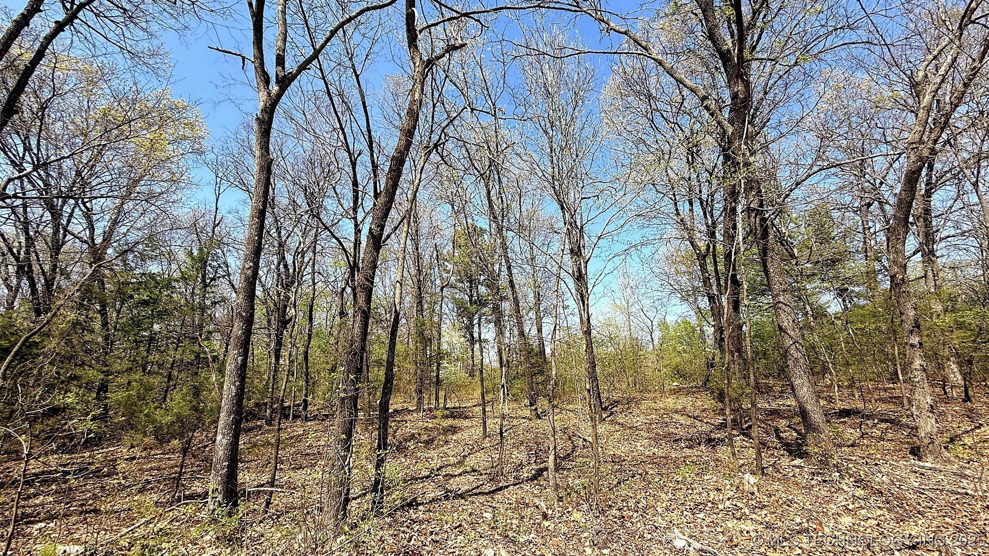 15208 Overland Drive Property Photo 7