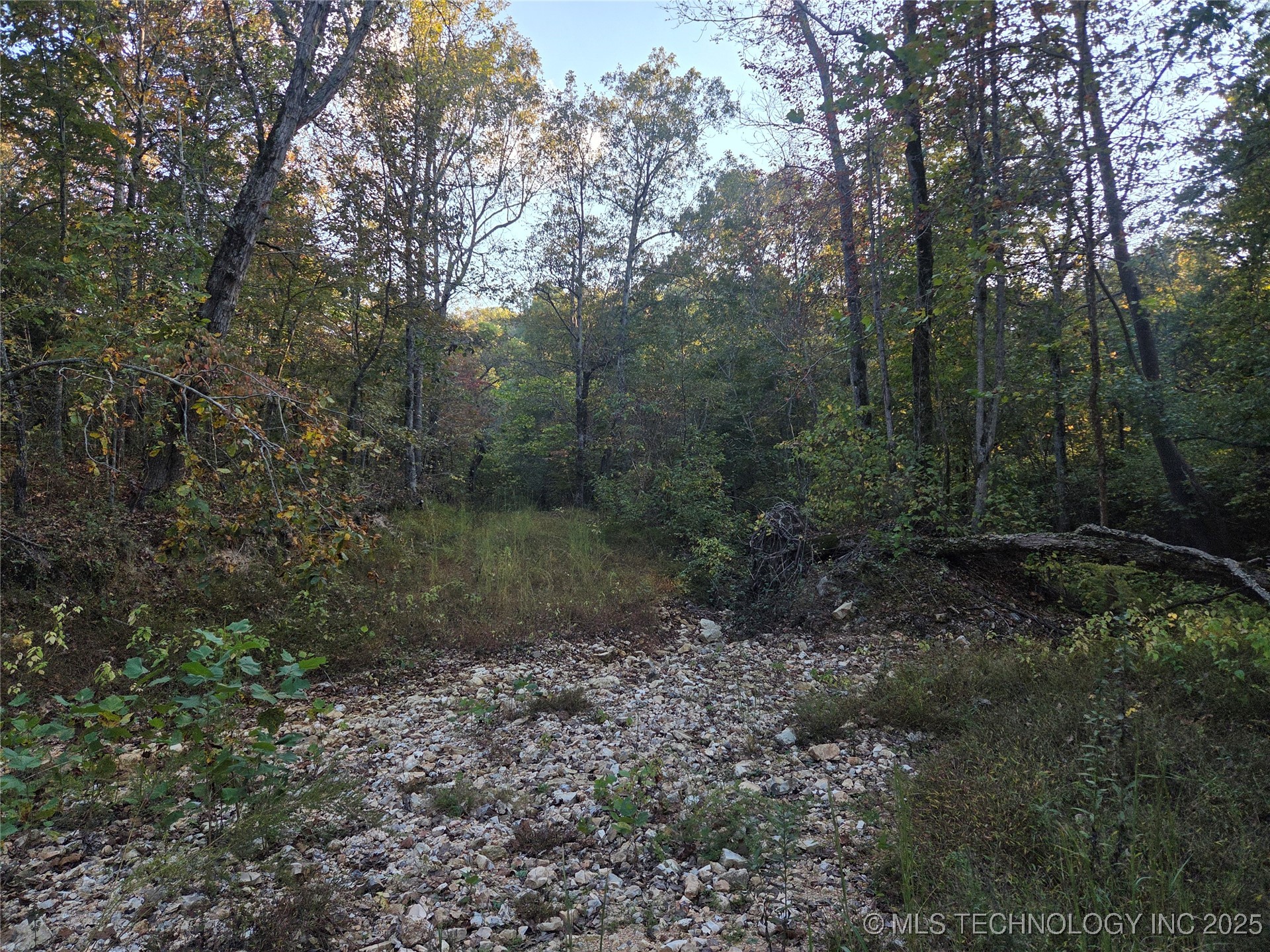 S 4656 Road Property Photo 3