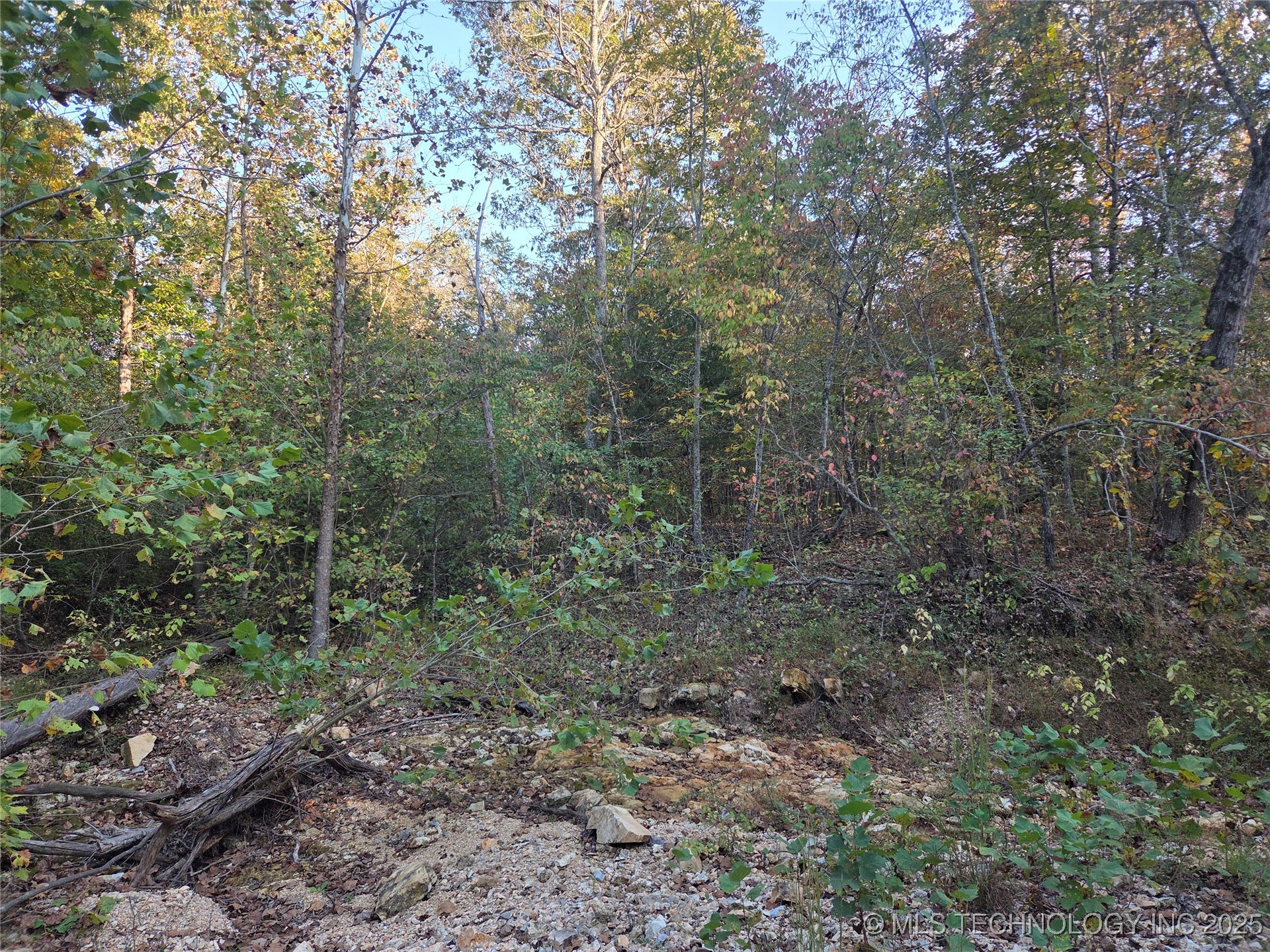 S 4656 Road Property Photo 5