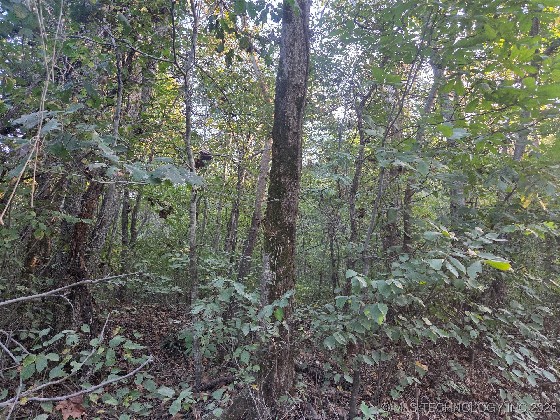 S 4656 Road Property Photo 6