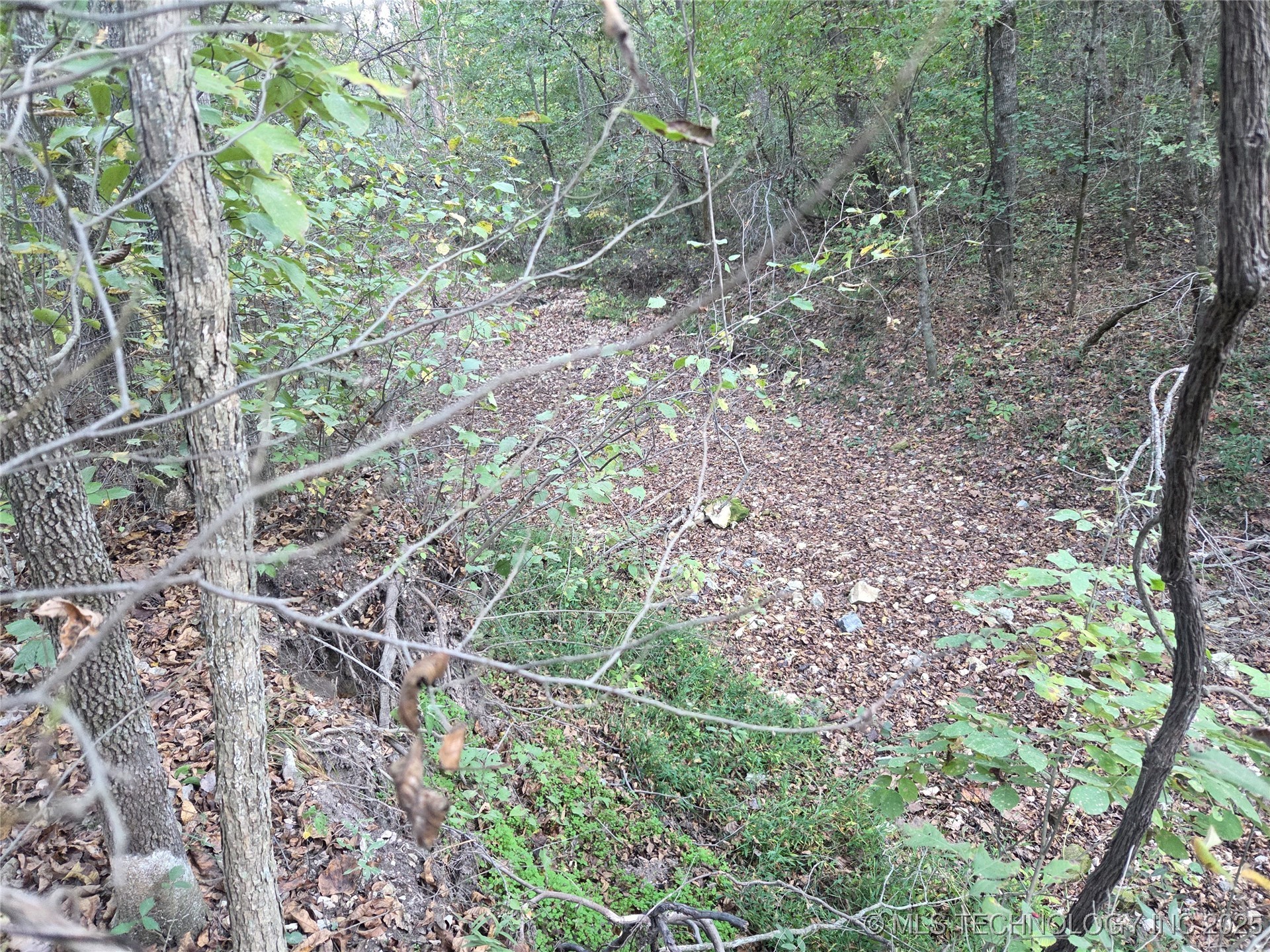 S 4656 Road Property Photo 7