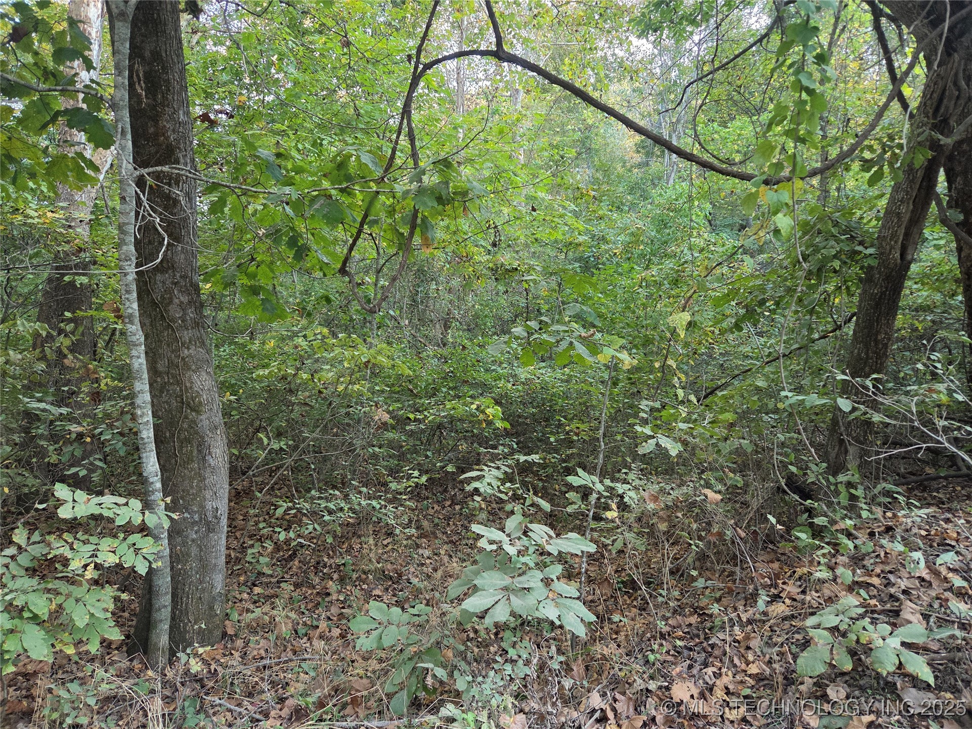 S 4656 Road Property Photo 8