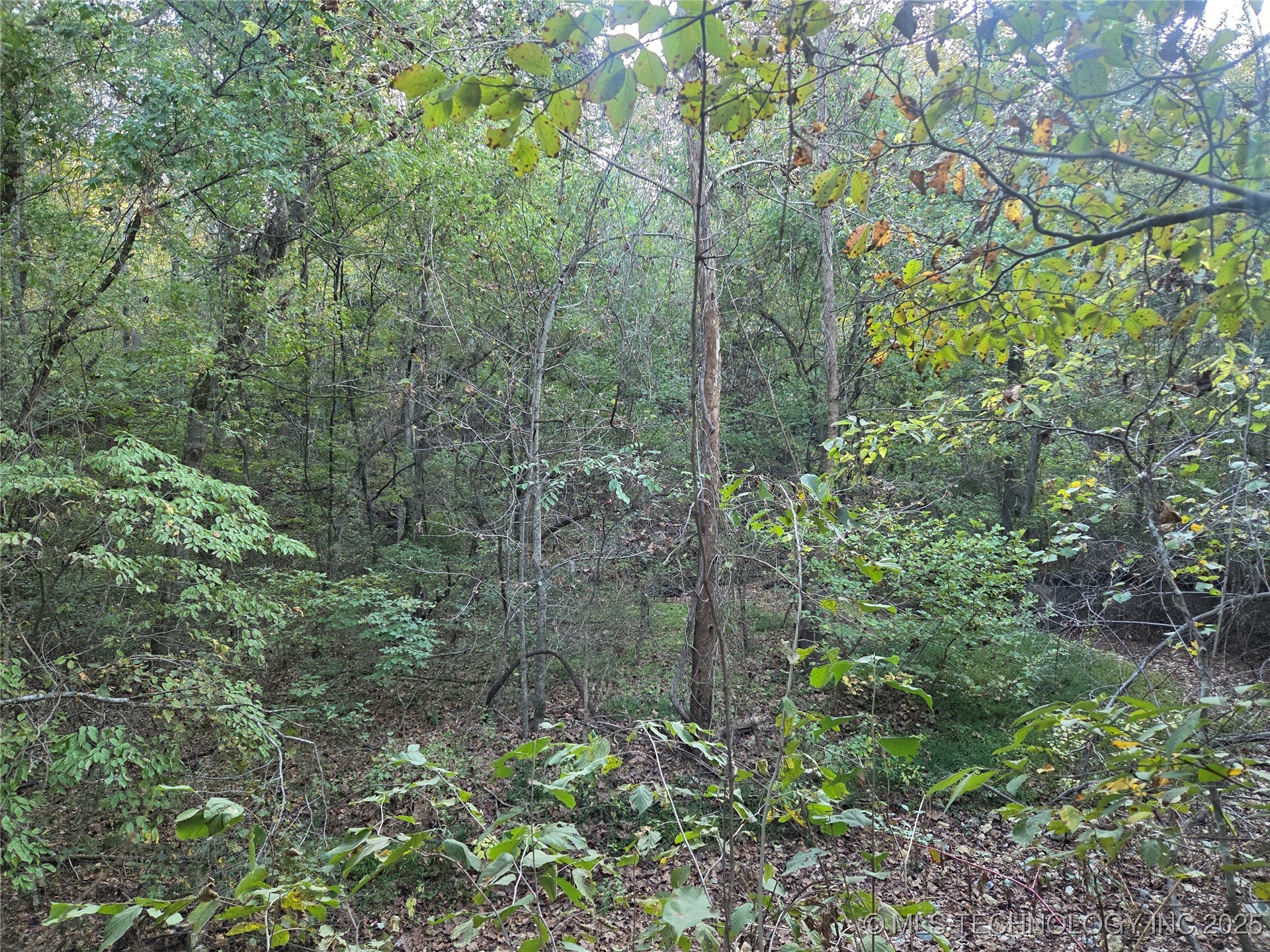 S 4656 Road Property Photo 9