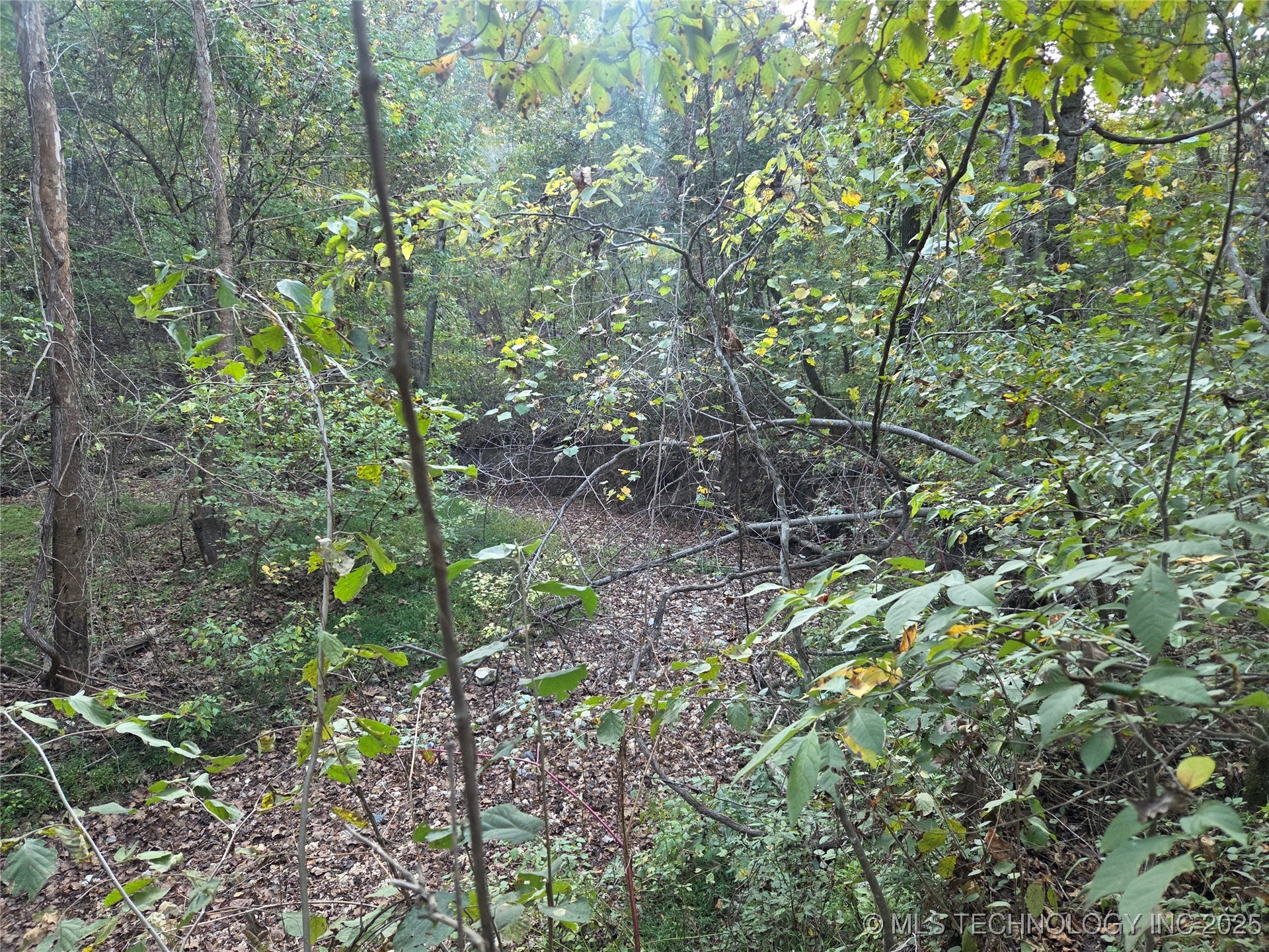 S 4656 Road Property Photo 10