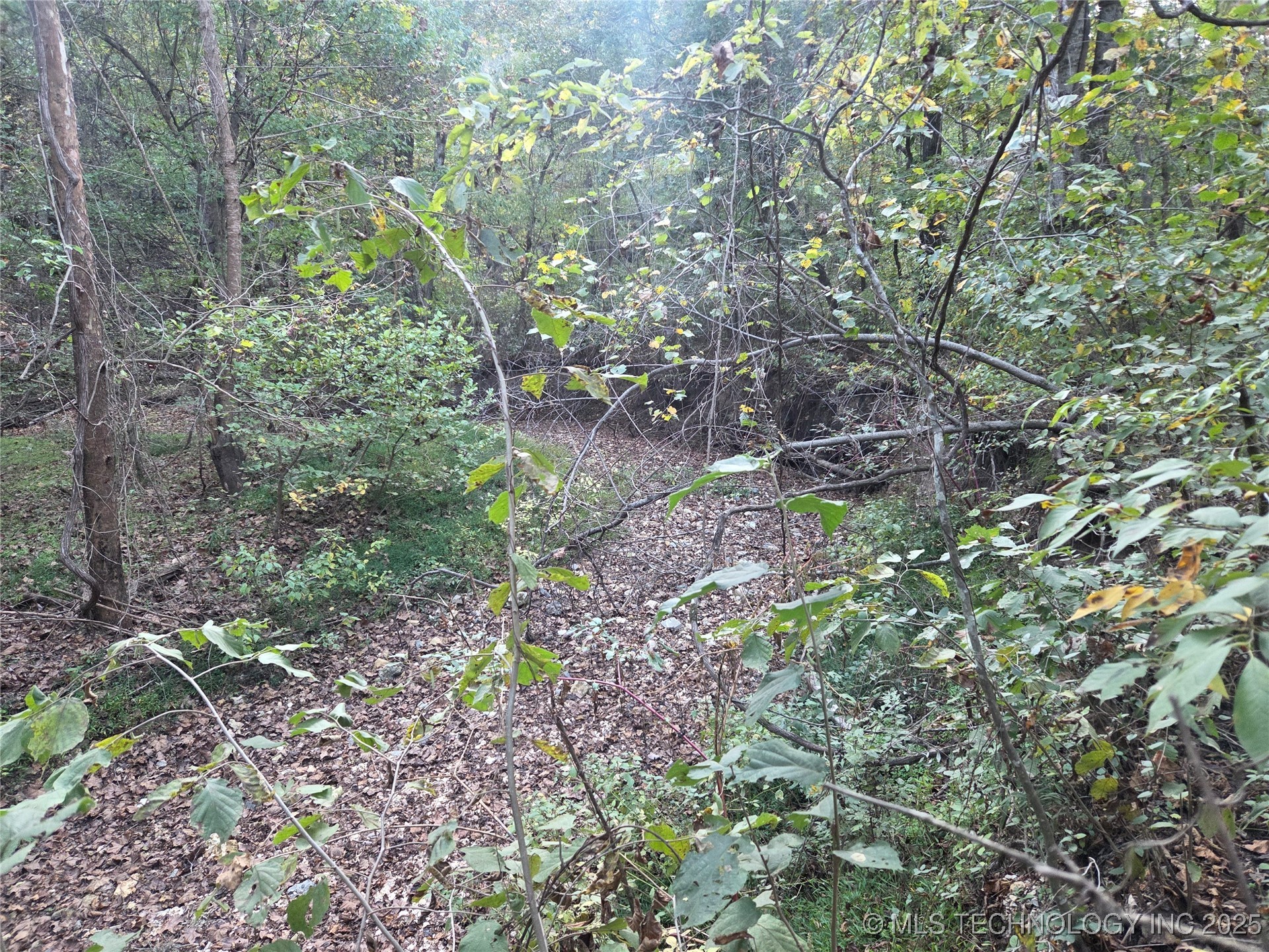 S 4656 Road Property Photo 11