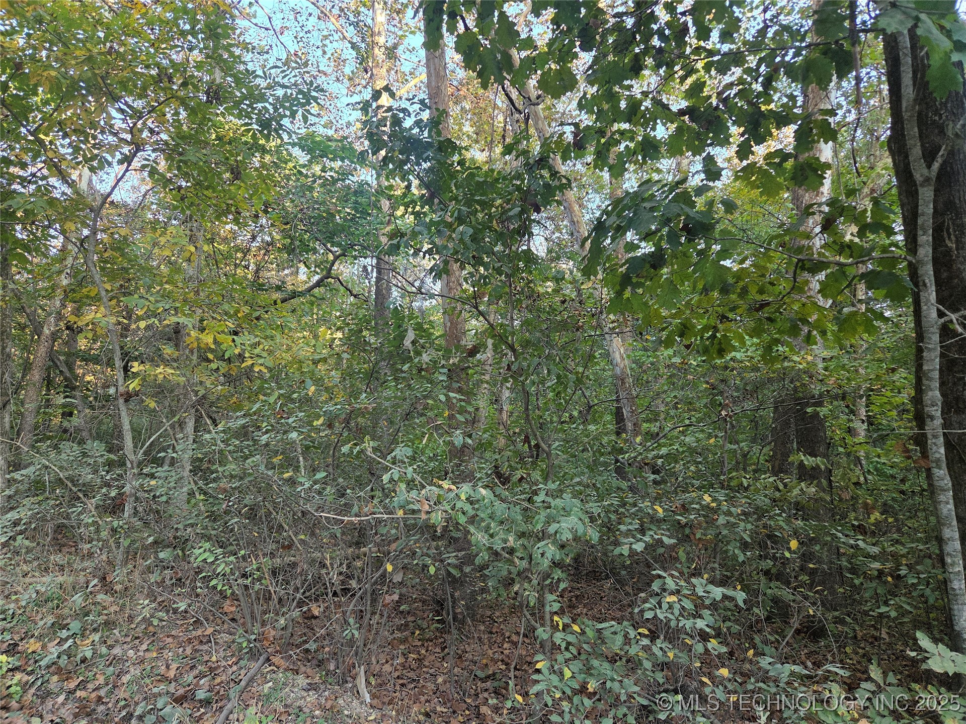 S 4656 Road Property Photo 12