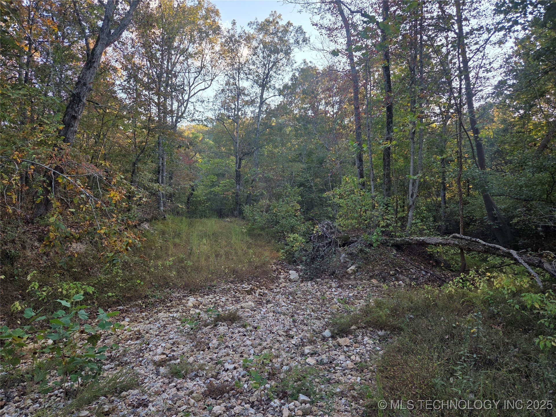 S 4656 Road Property Photo 19