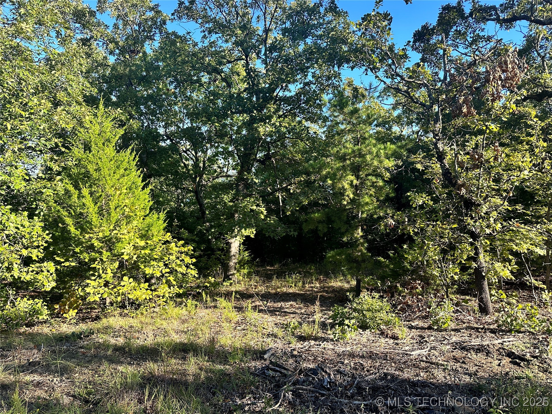 Hunter Road Property Photo 3