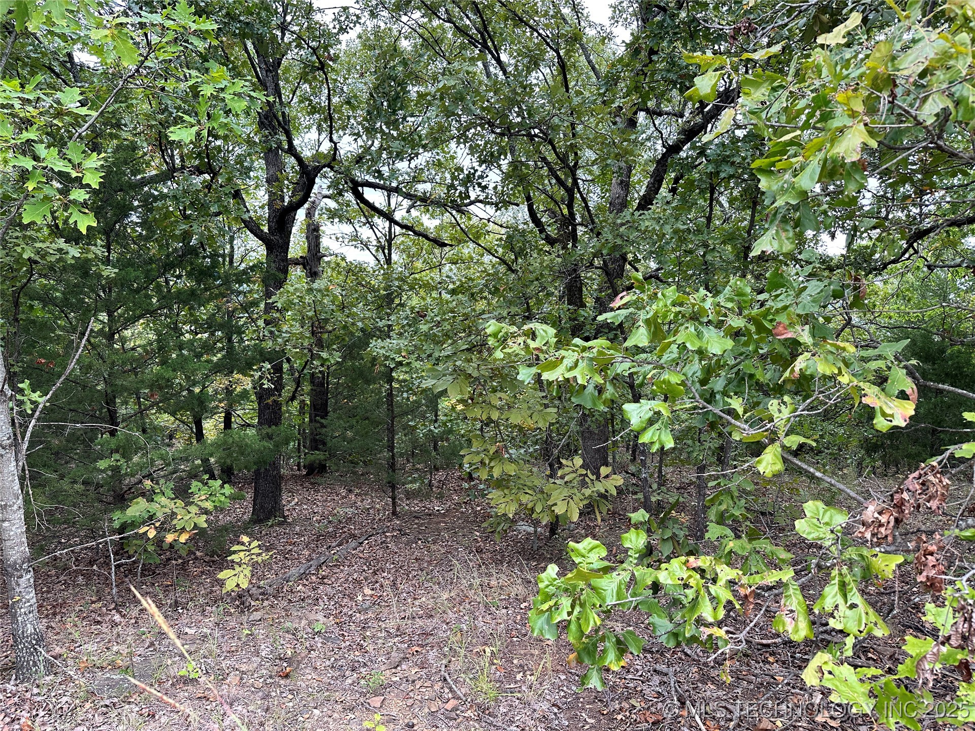 Hunter Road Property Photo 4