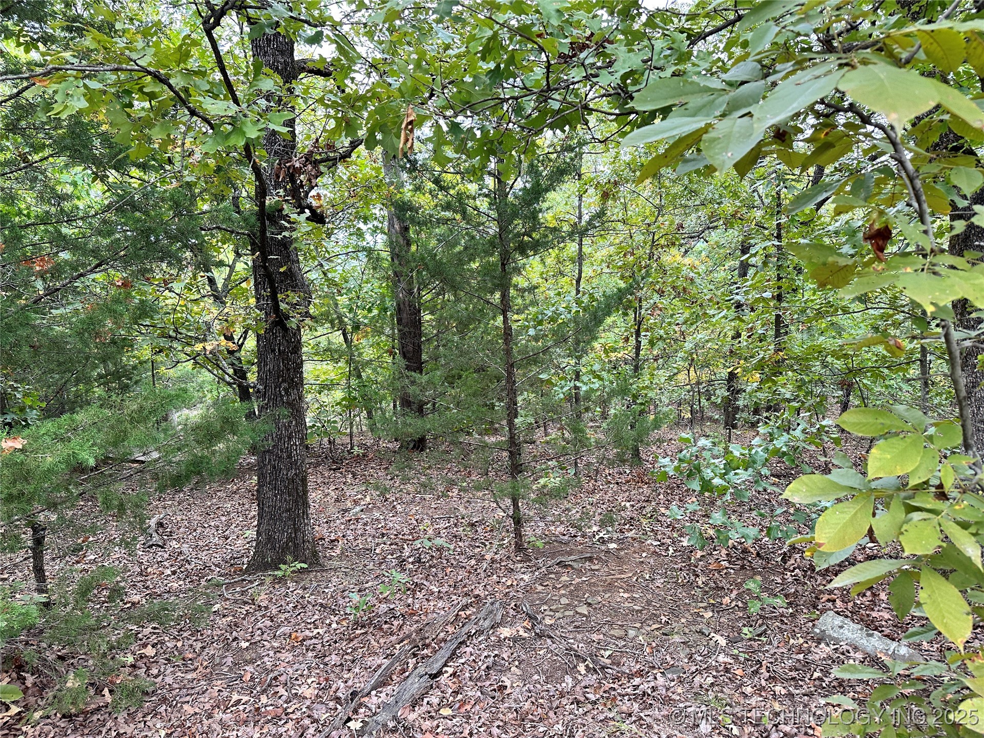 Hunter Road Property Photo 5