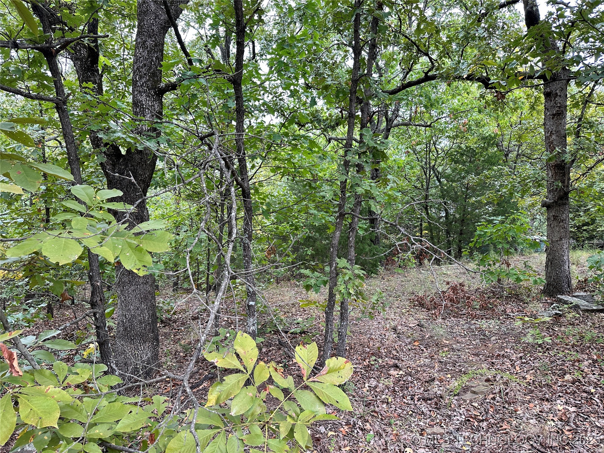 Hunter Road Property Photo 6