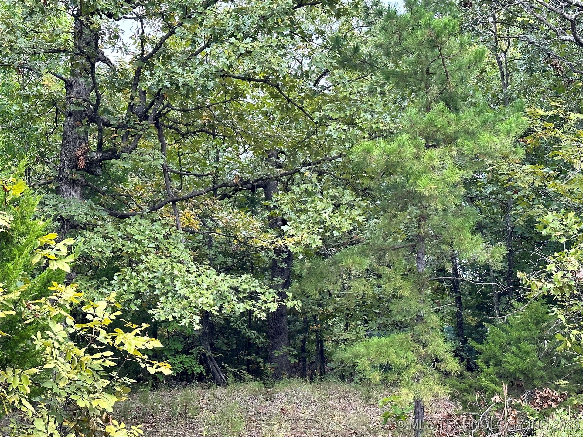 Hunter Road Property Photo 7