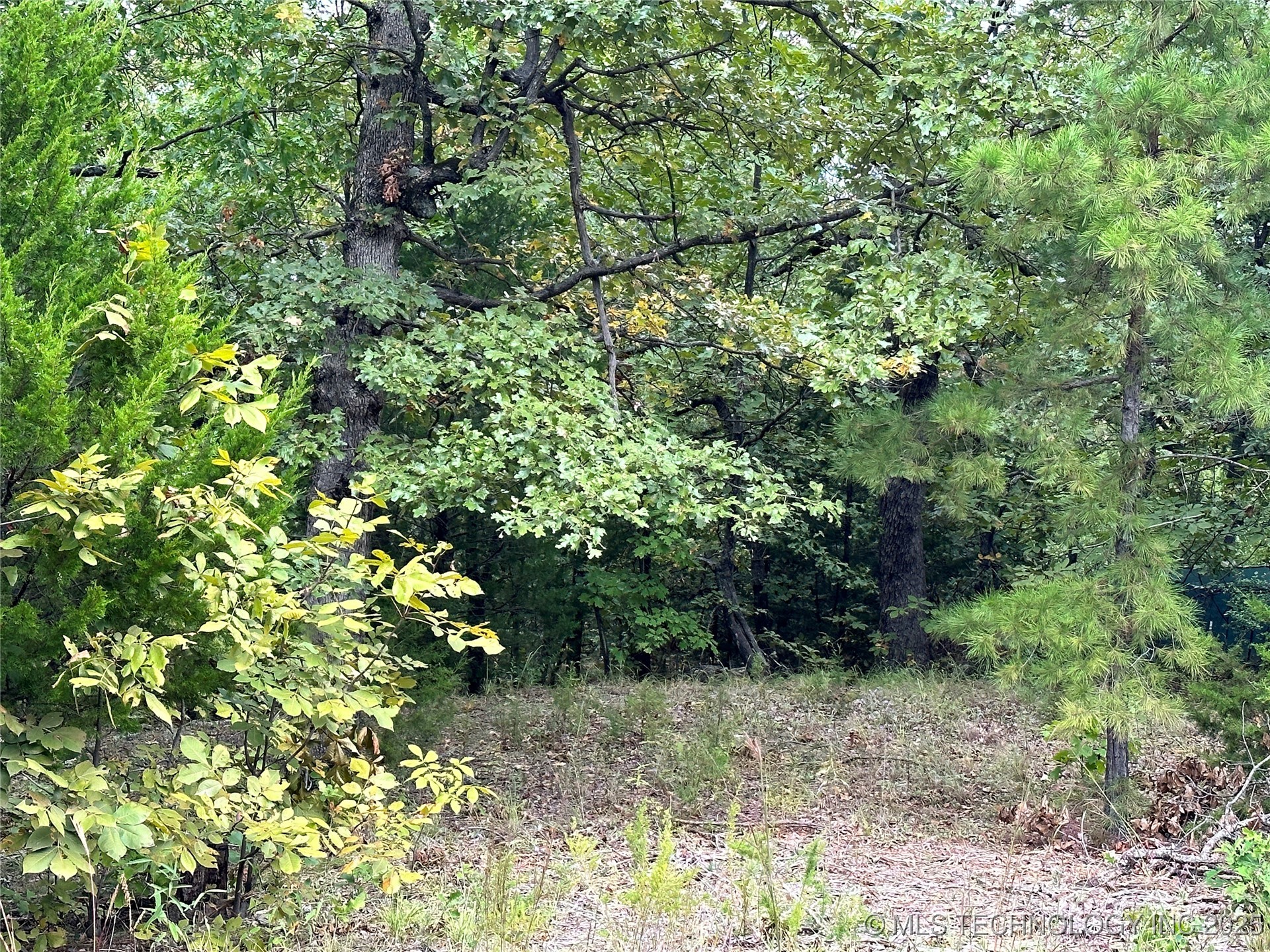 Hunter Road Property Photo 8