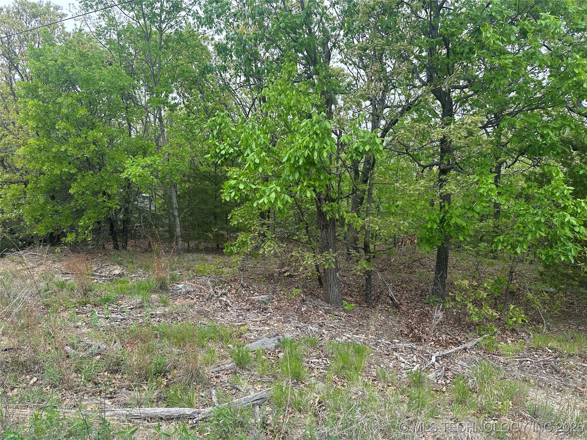 Hunter Road Property Photo 10