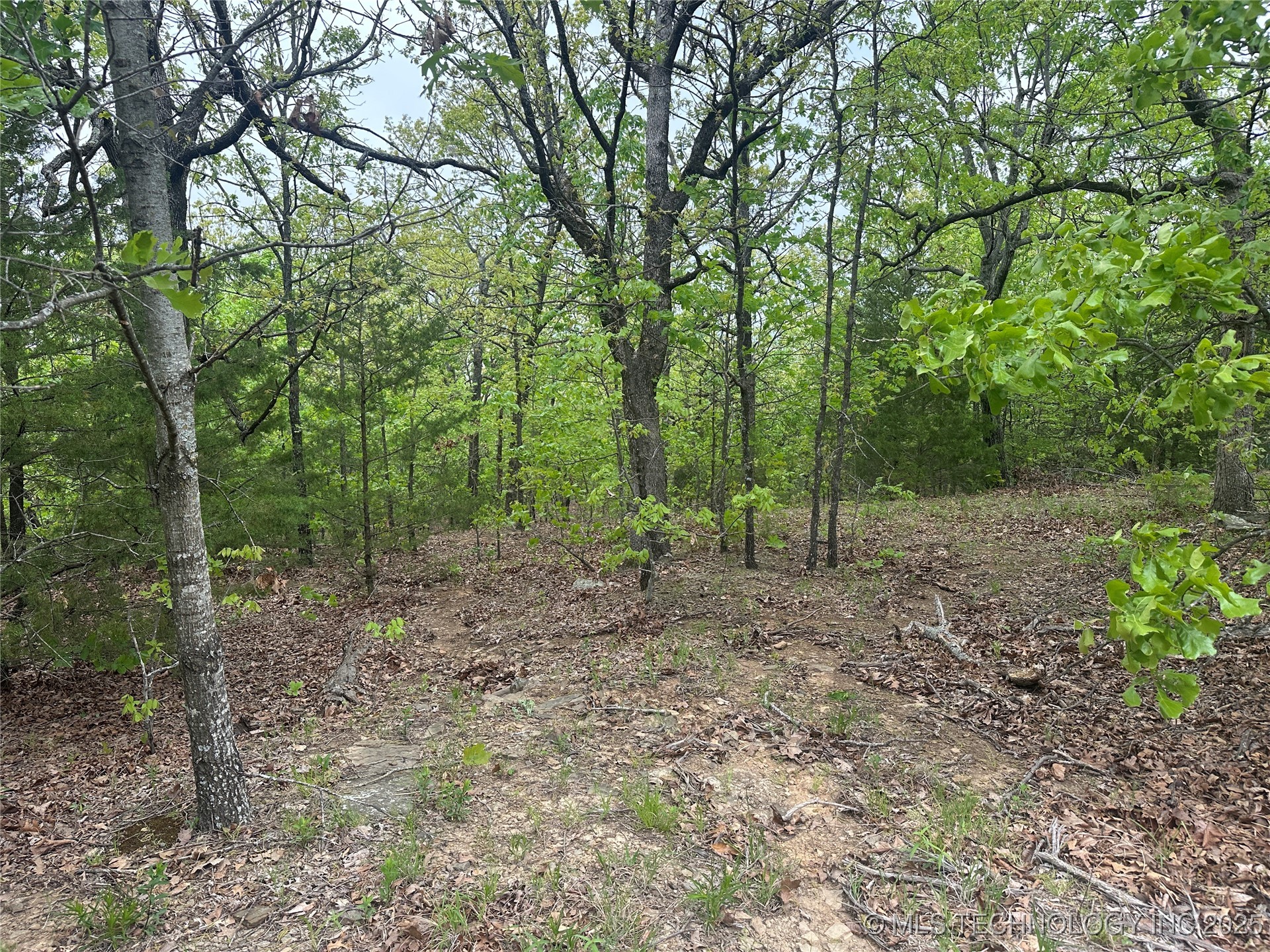 Hunter Road Property Photo 11