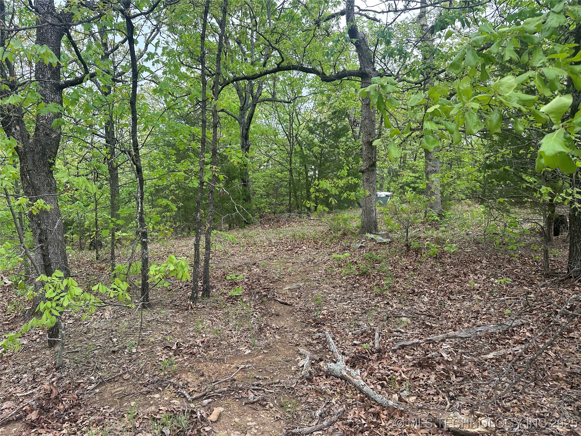 Hunter Road Property Photo 12