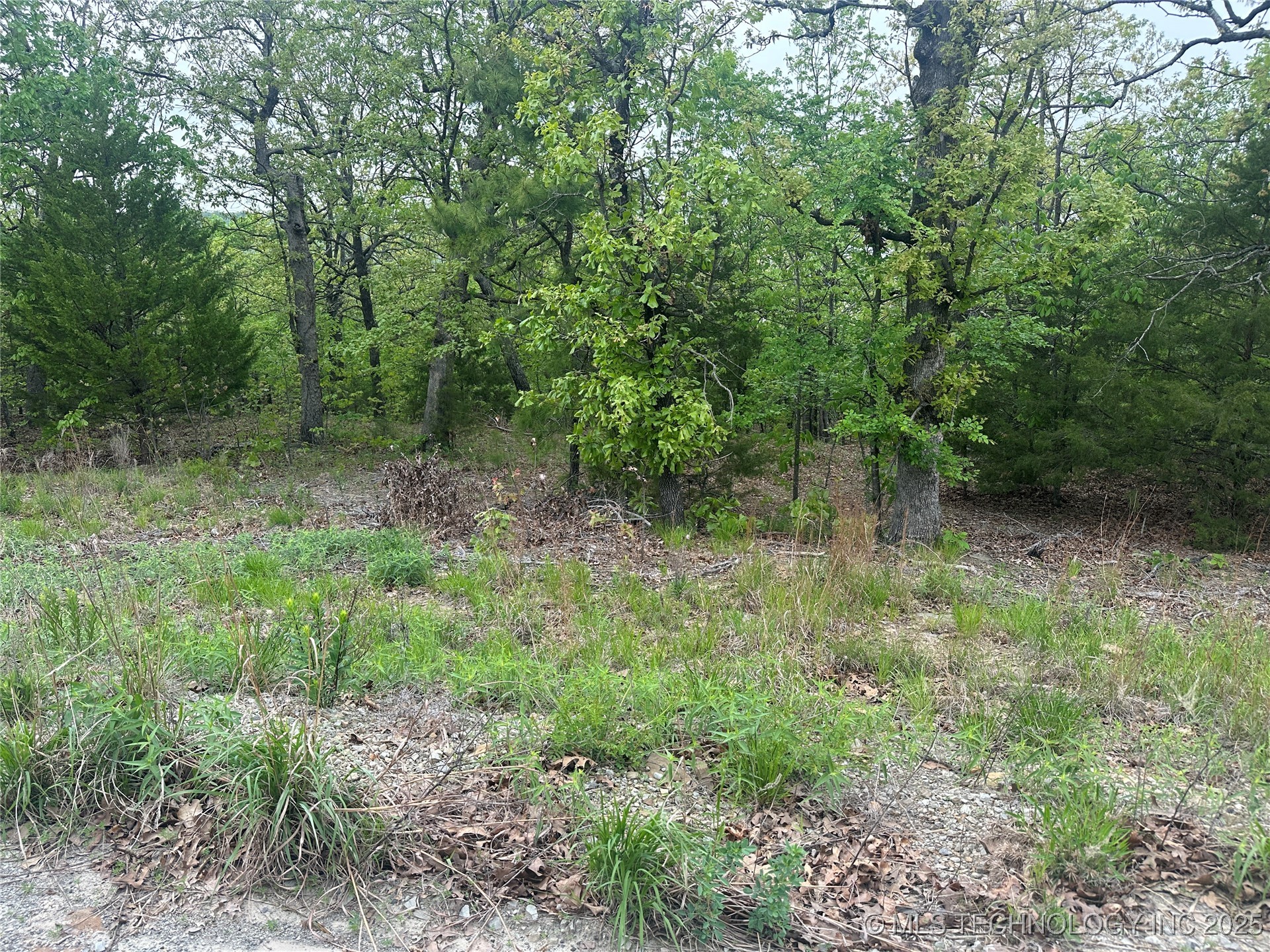 Hunter Road Property Photo 13