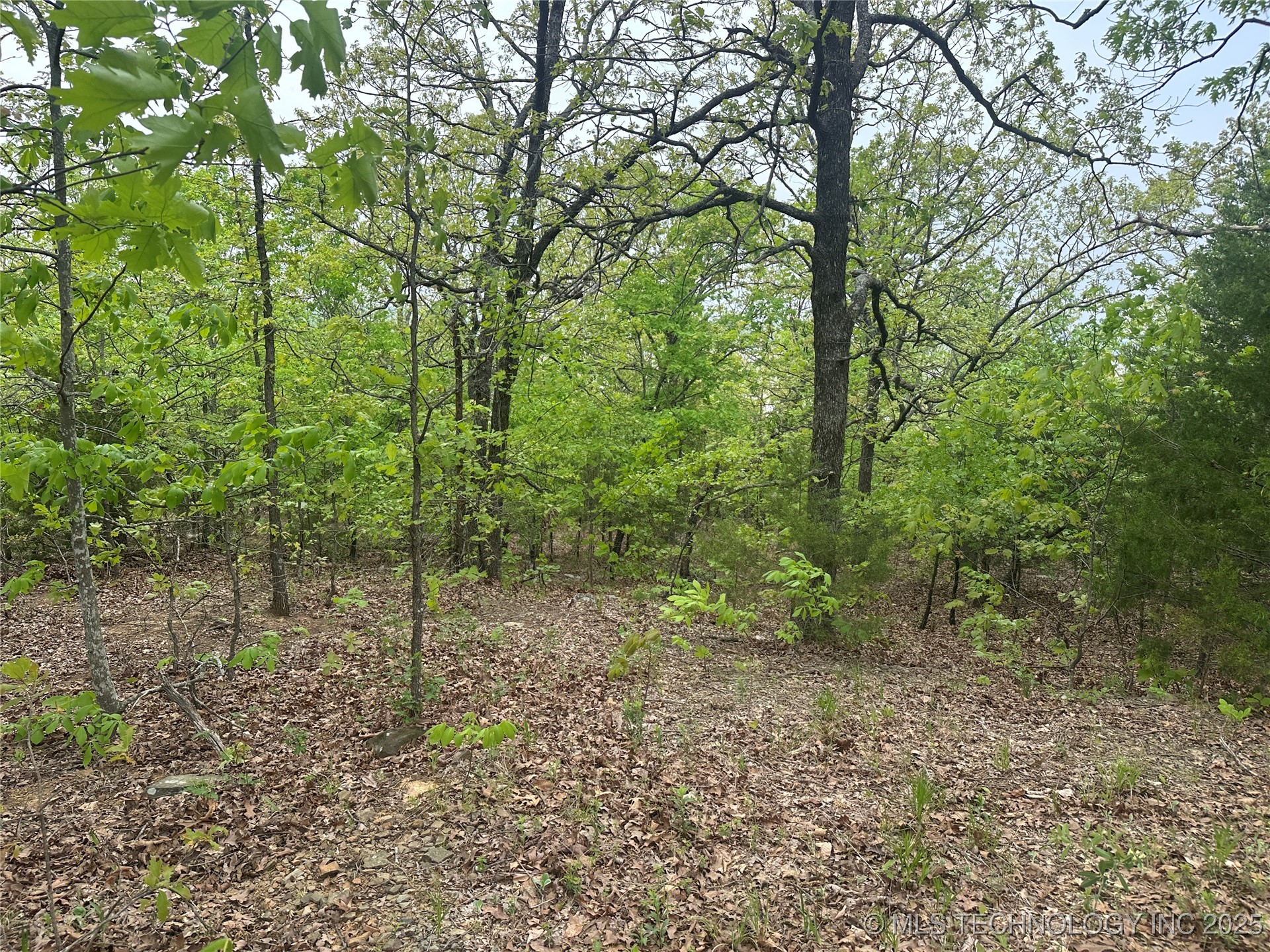 Hunter Road Property Photo 16