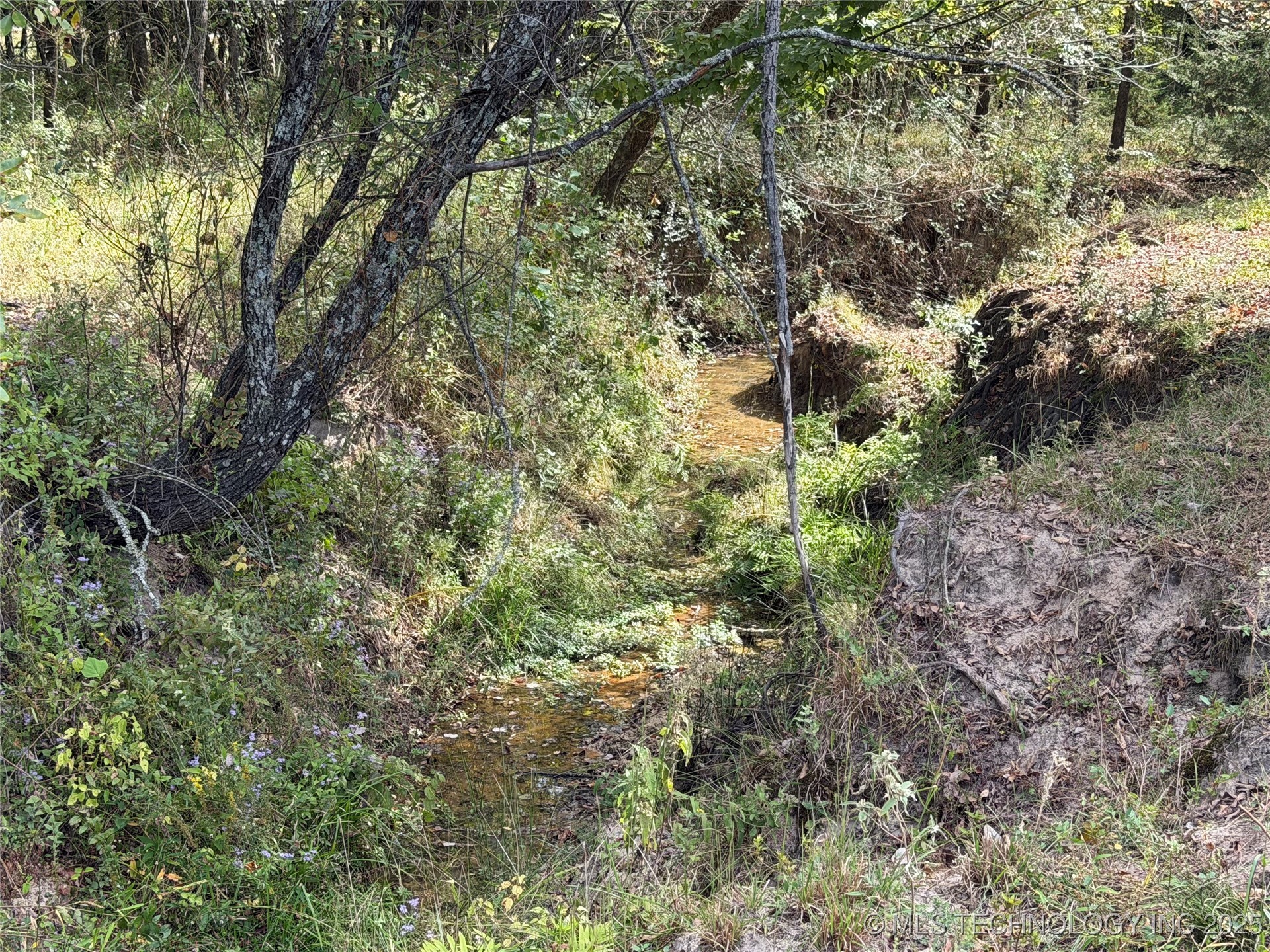 226 N 4160 Road Property Photo 7