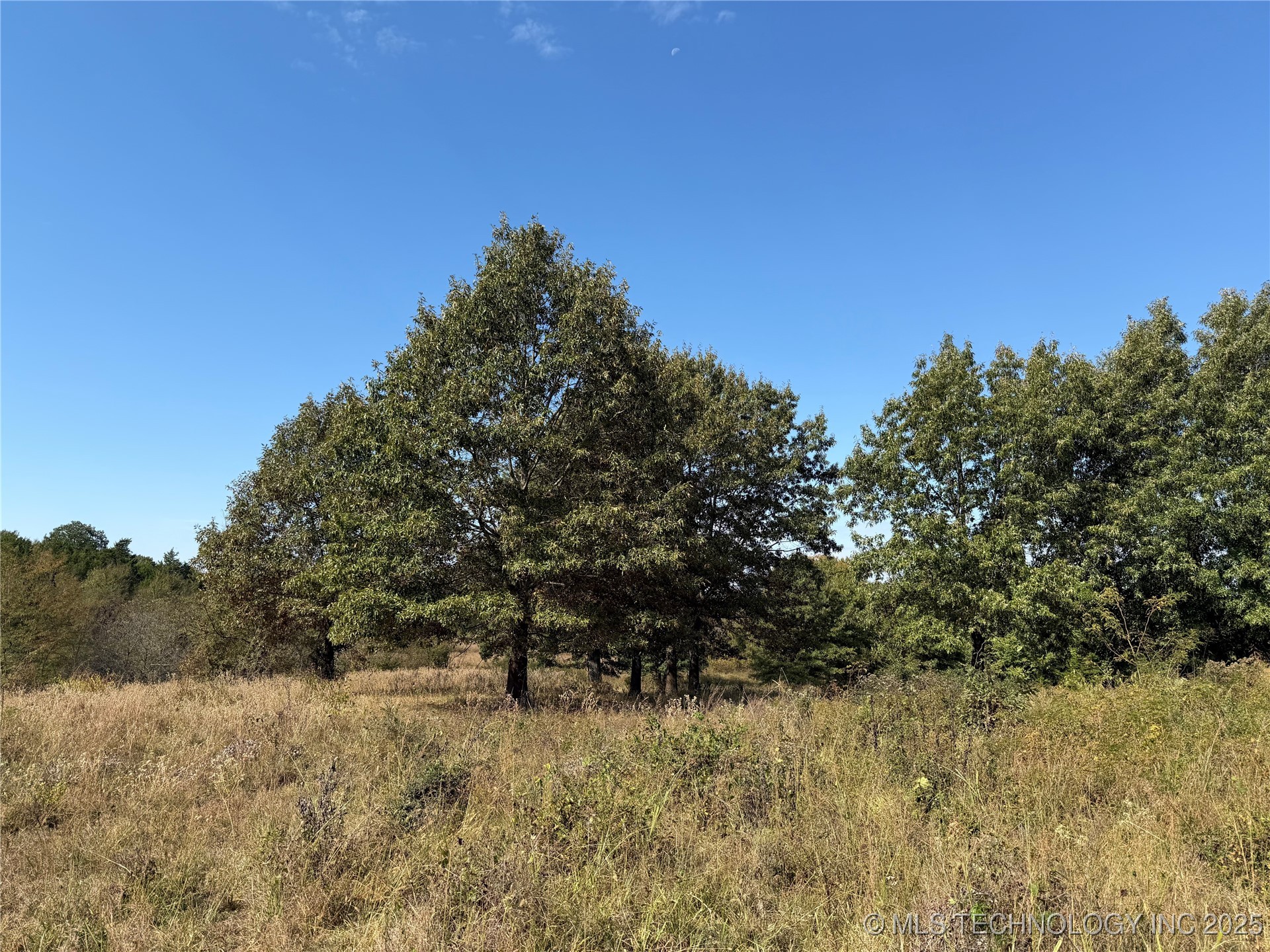 226 N 4160 Road Property Photo 9