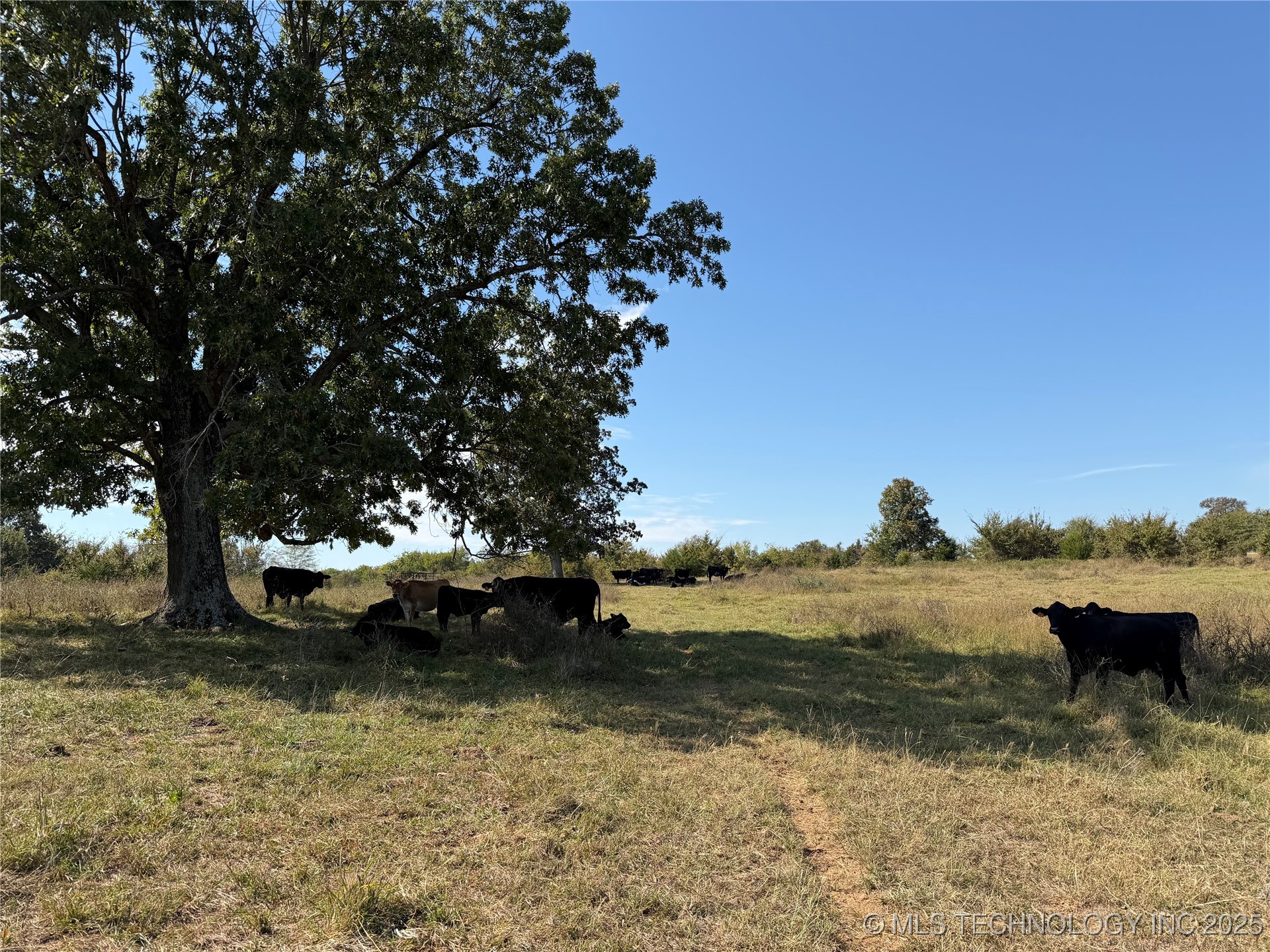 226 N 4160 Road Property Photo 10