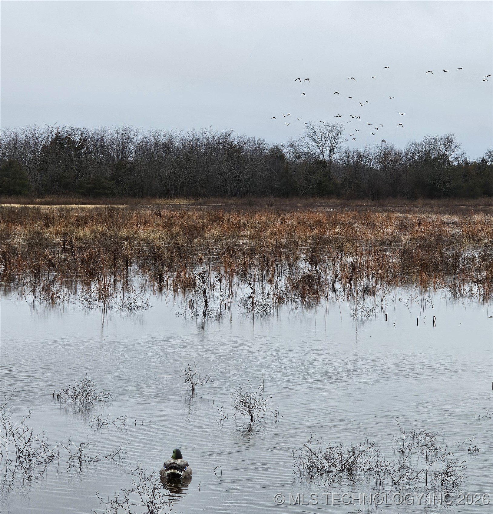 0 E 930 Road Property Photo 45