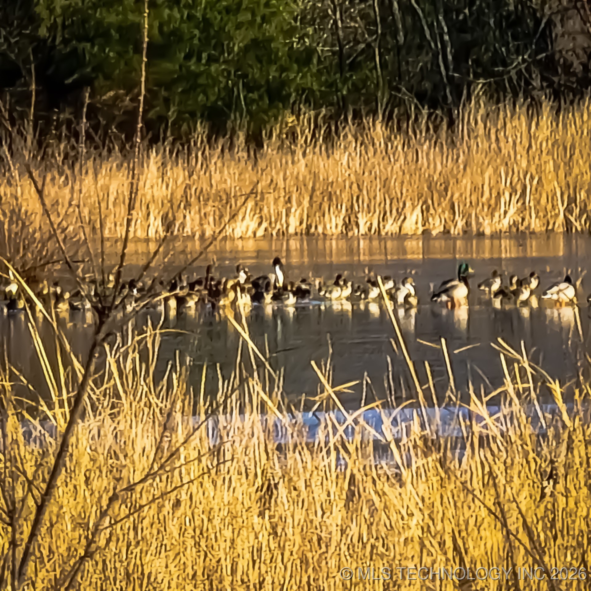 0 E 930 Road Property Photo 47