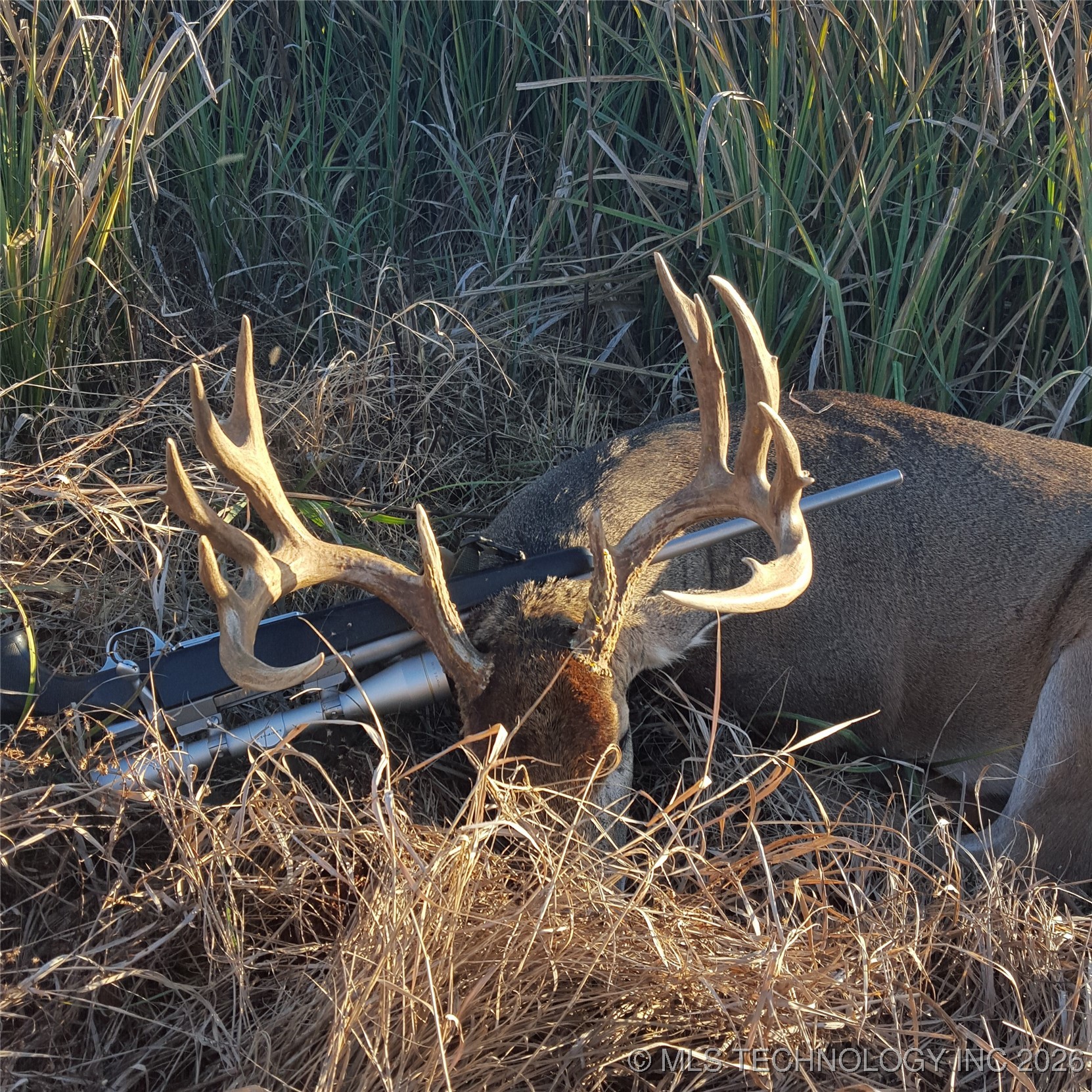 0 E 930 Road Property Photo 48