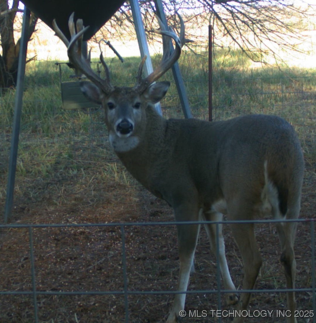 0 E 930 Road Property Photo 51