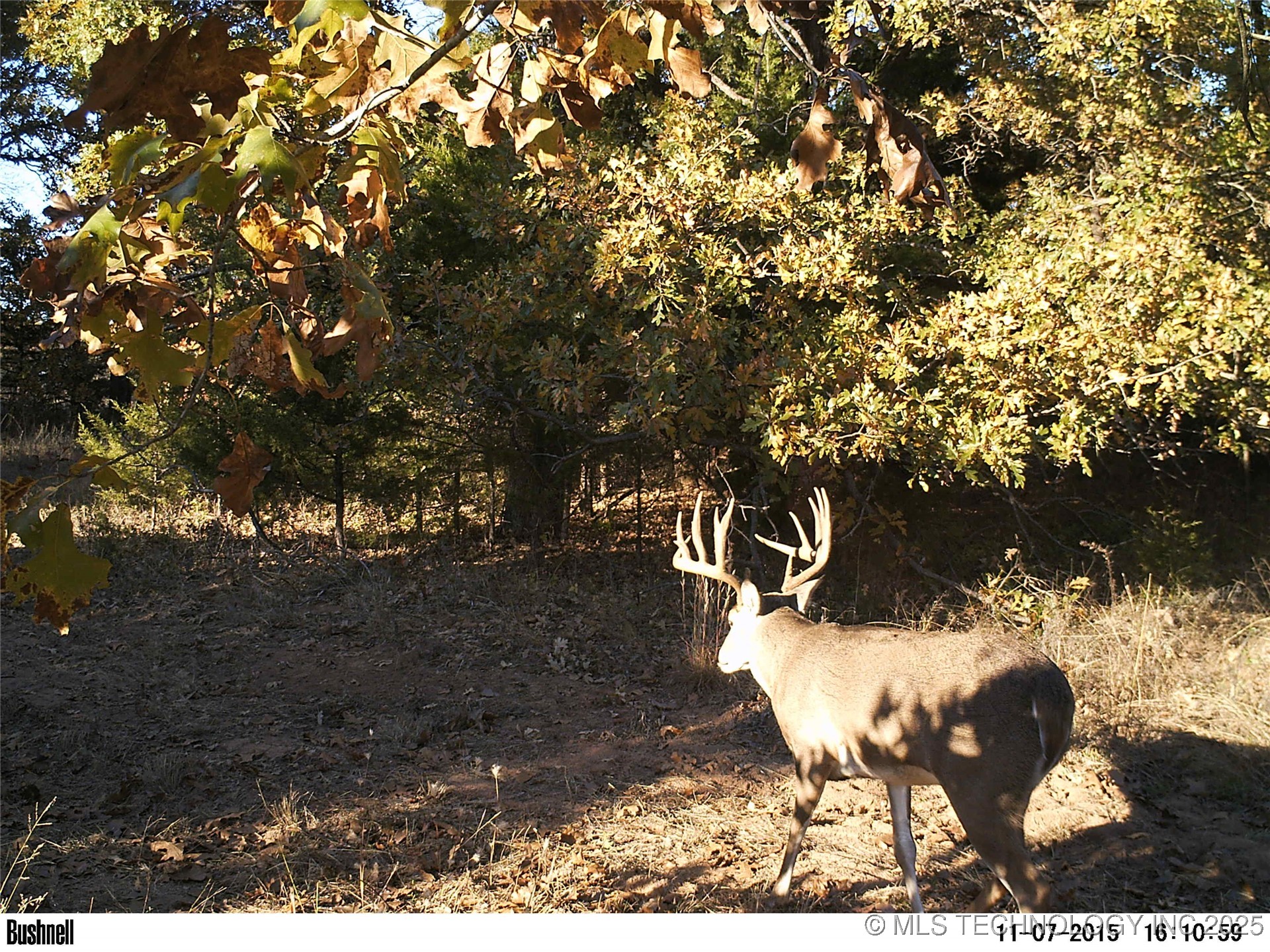 0 E 930 Road Property Photo 52