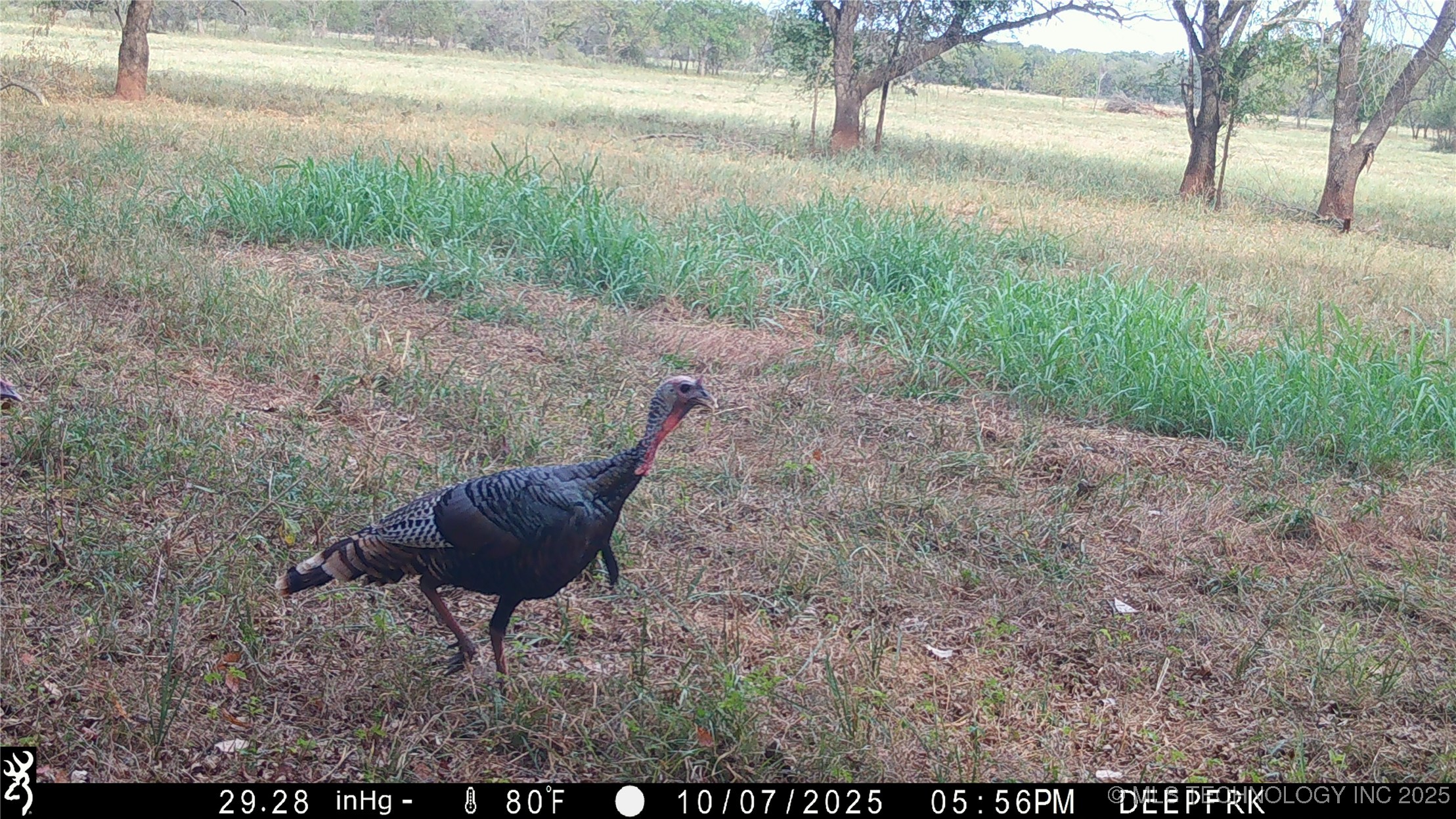 0 E 930 Road Property Photo 56