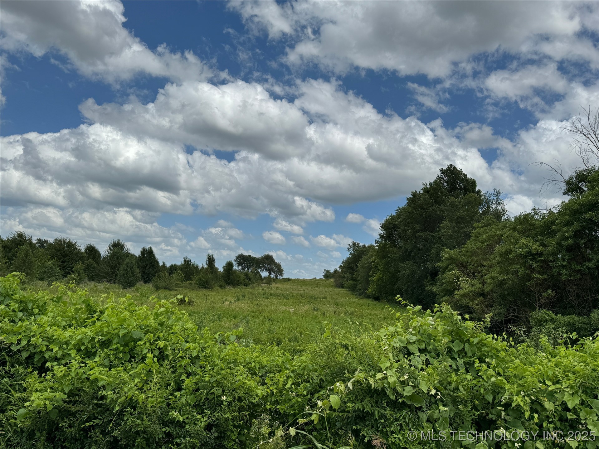 7 Mathis Park Drive Property Photo 45