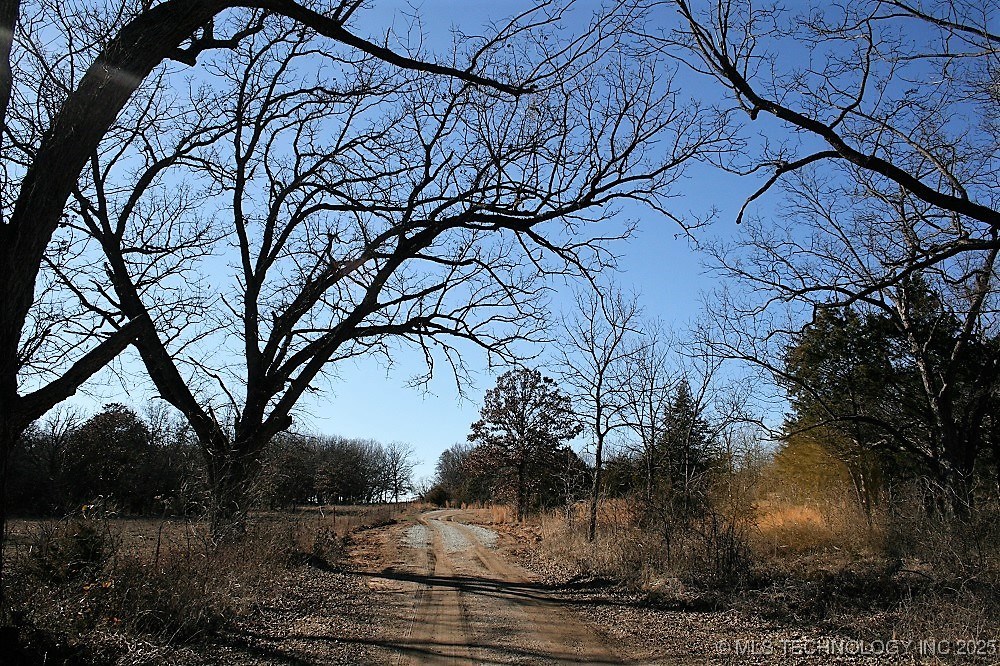 8706 County Road 1550 Property Photo 4