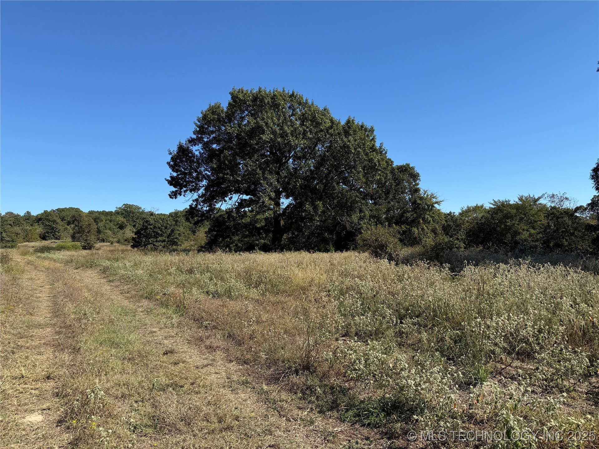 N Mclean Road Property Photo 2