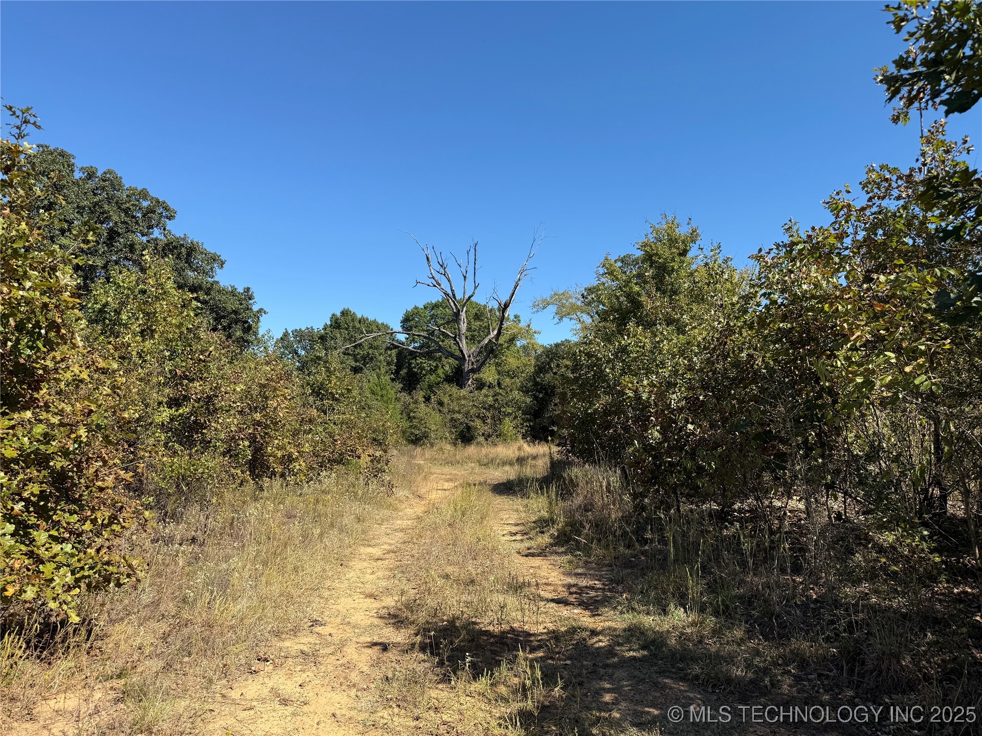 N Mclean Road Property Photo 8