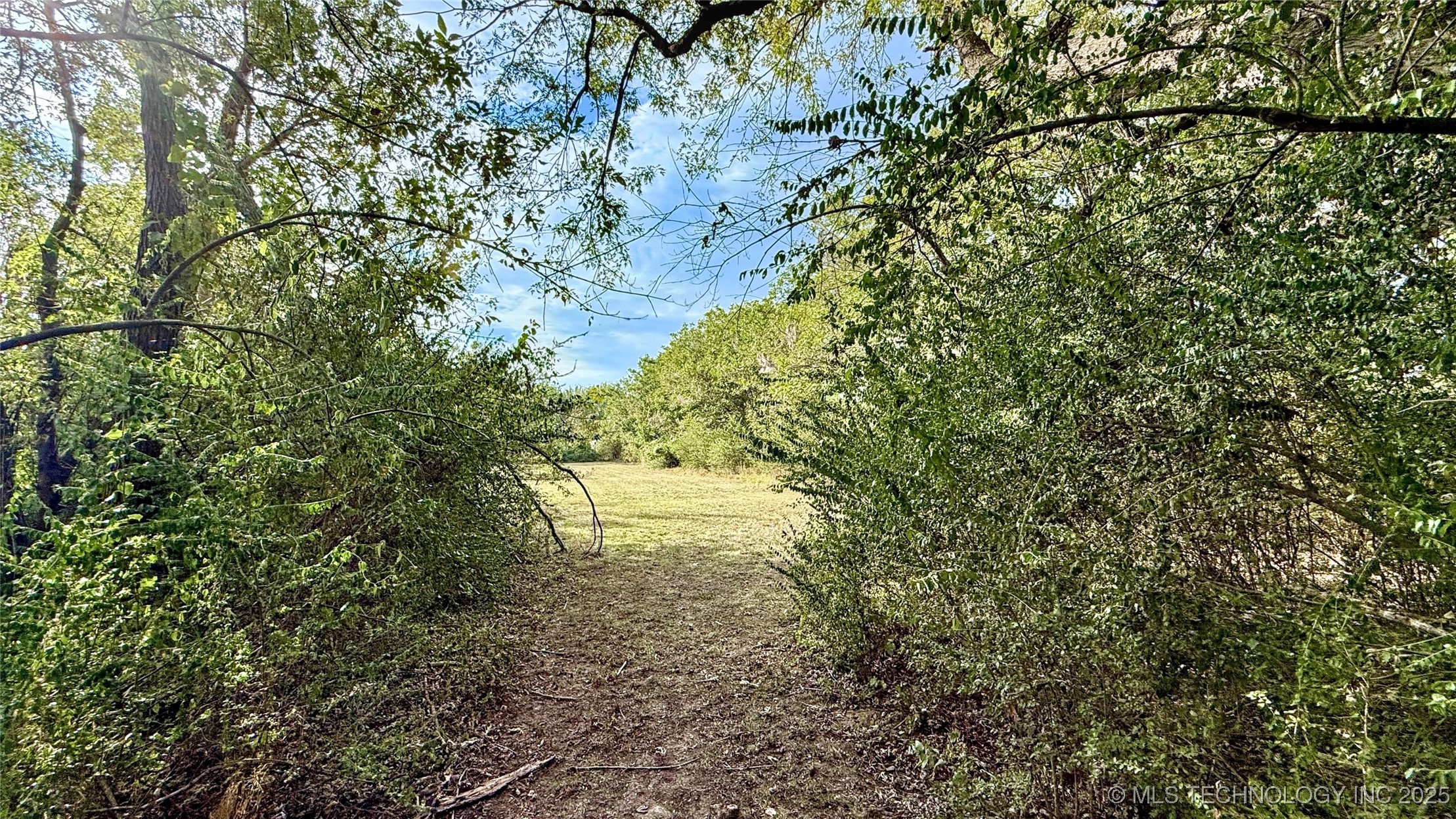 907 Kershaw Drive Property Photo 46