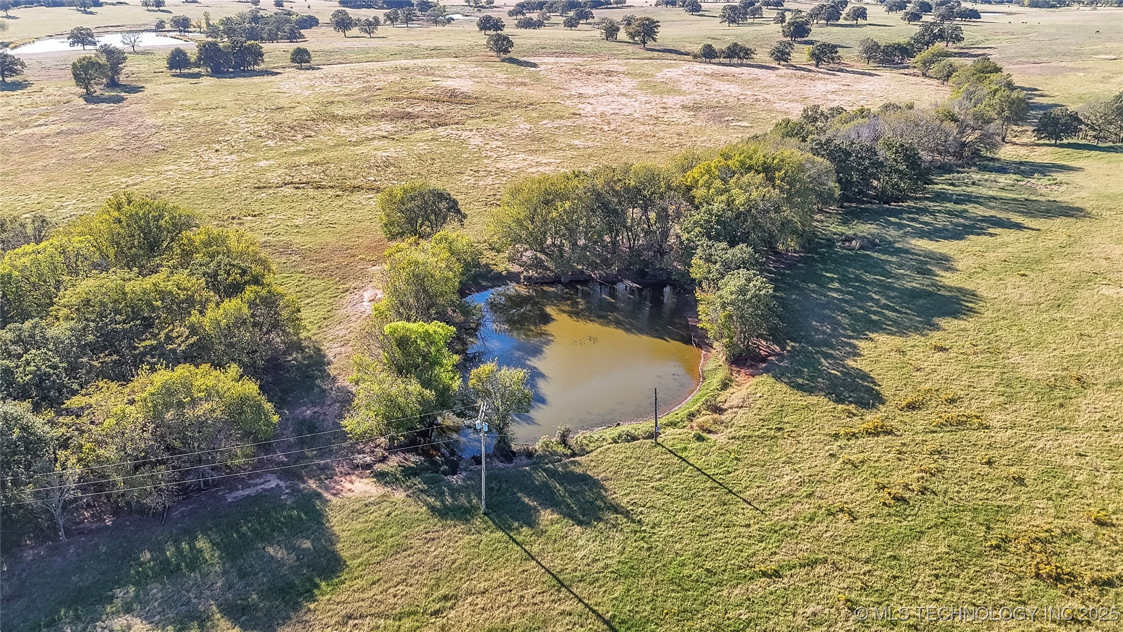 Memorial Property Photo 6