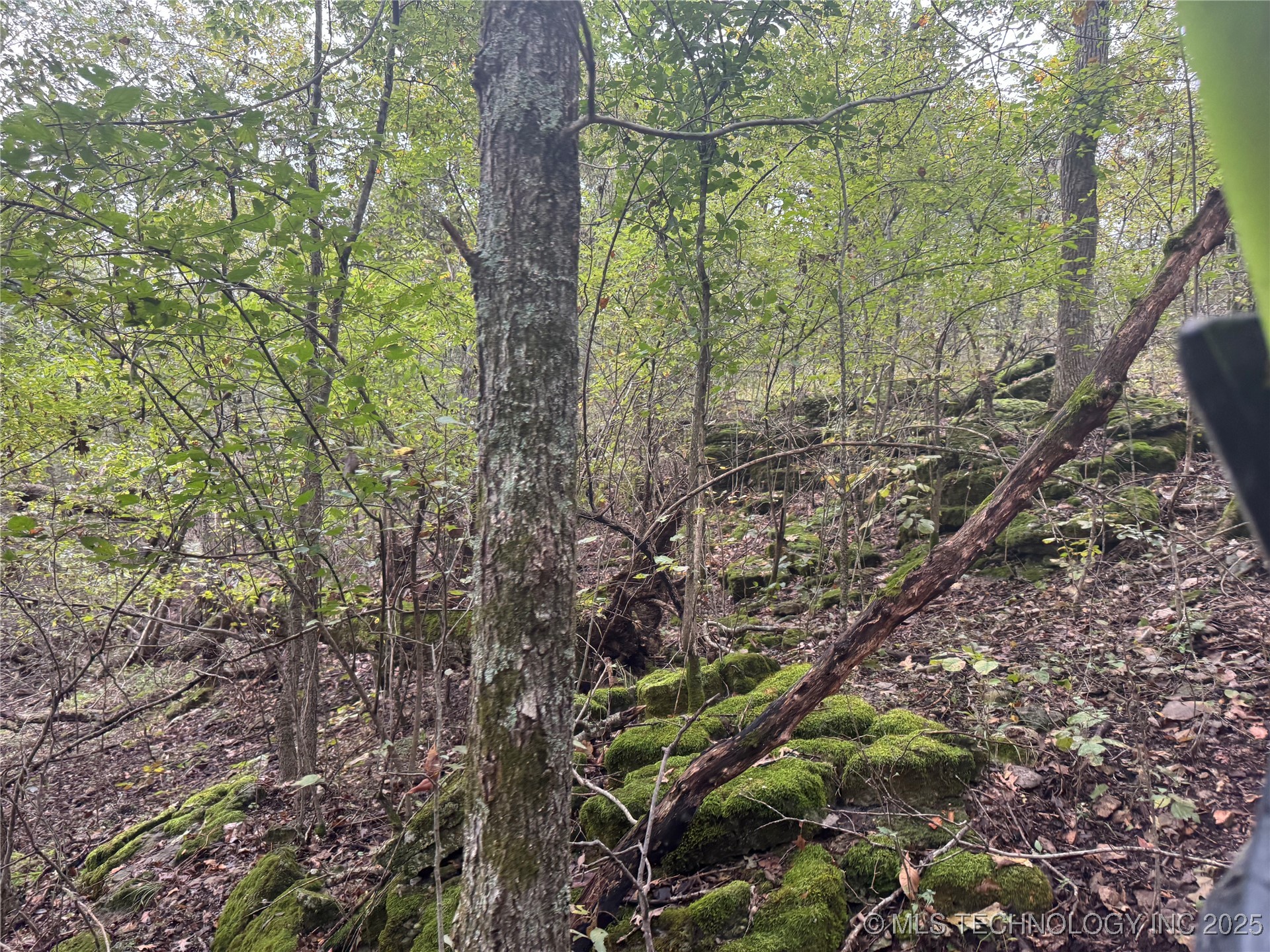 436 Property Photo 27