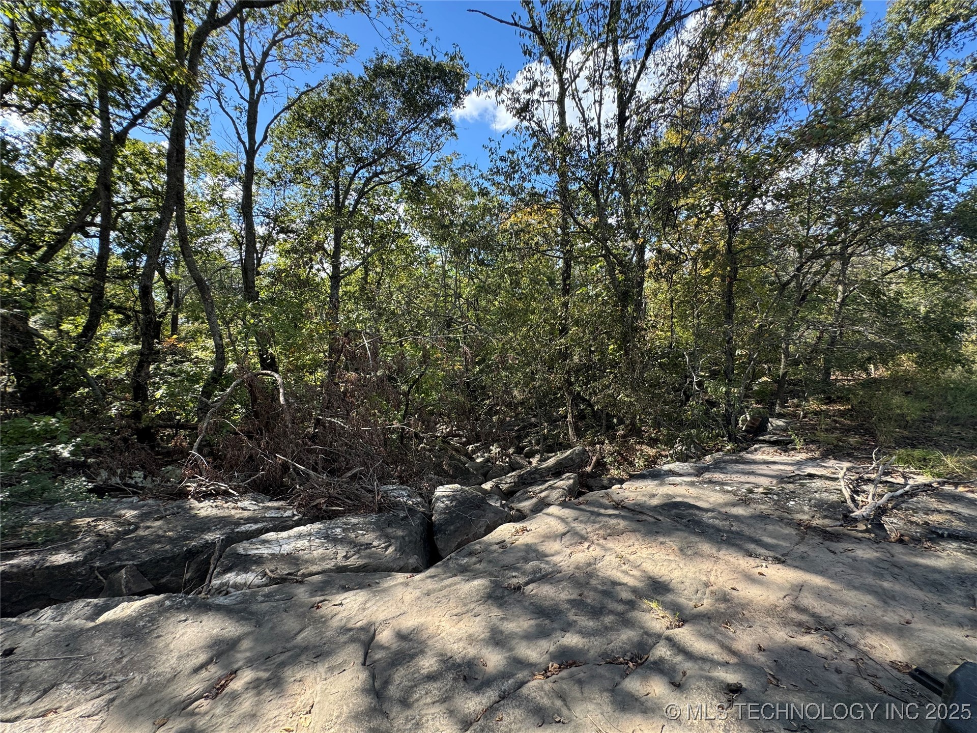 436 Property Photo 33