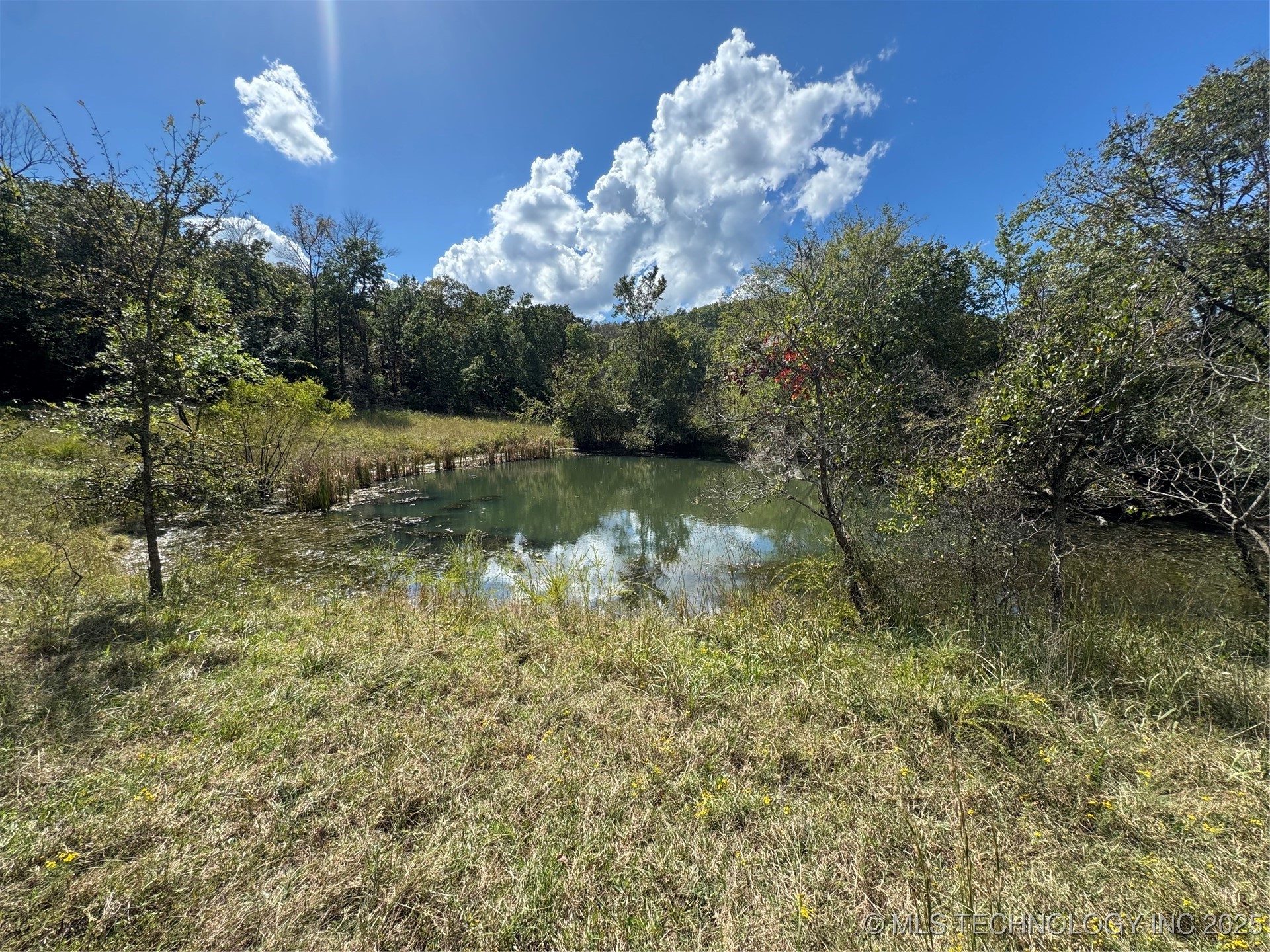 436 Property Photo 37