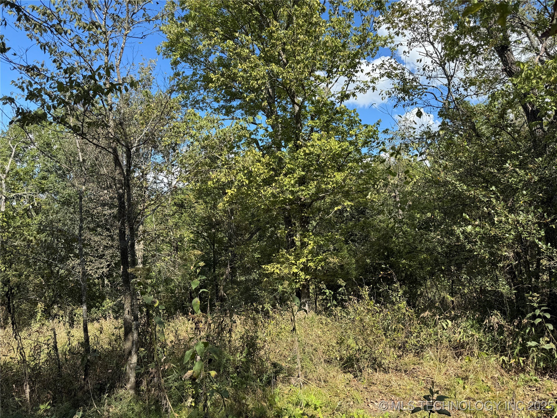 436 Property Photo 38